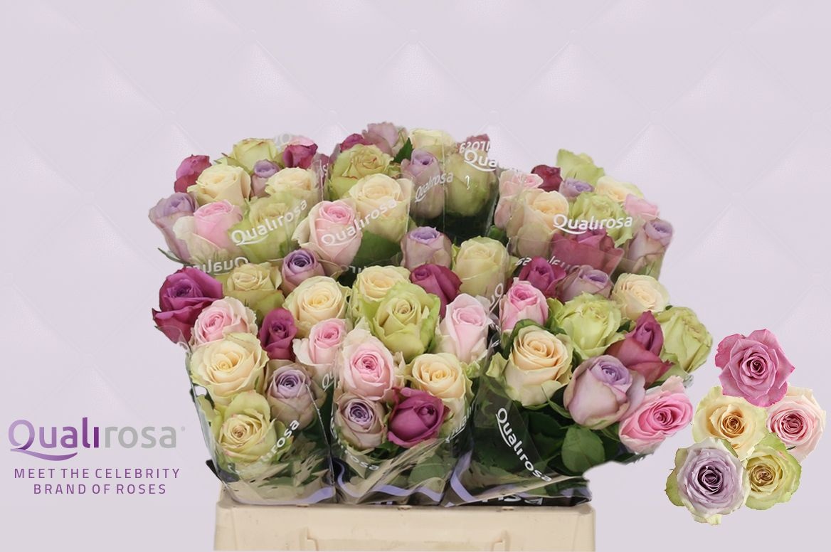 Роза од. Микс в пачке 50, шт. Роза од. Микс в пачке 50, шт.