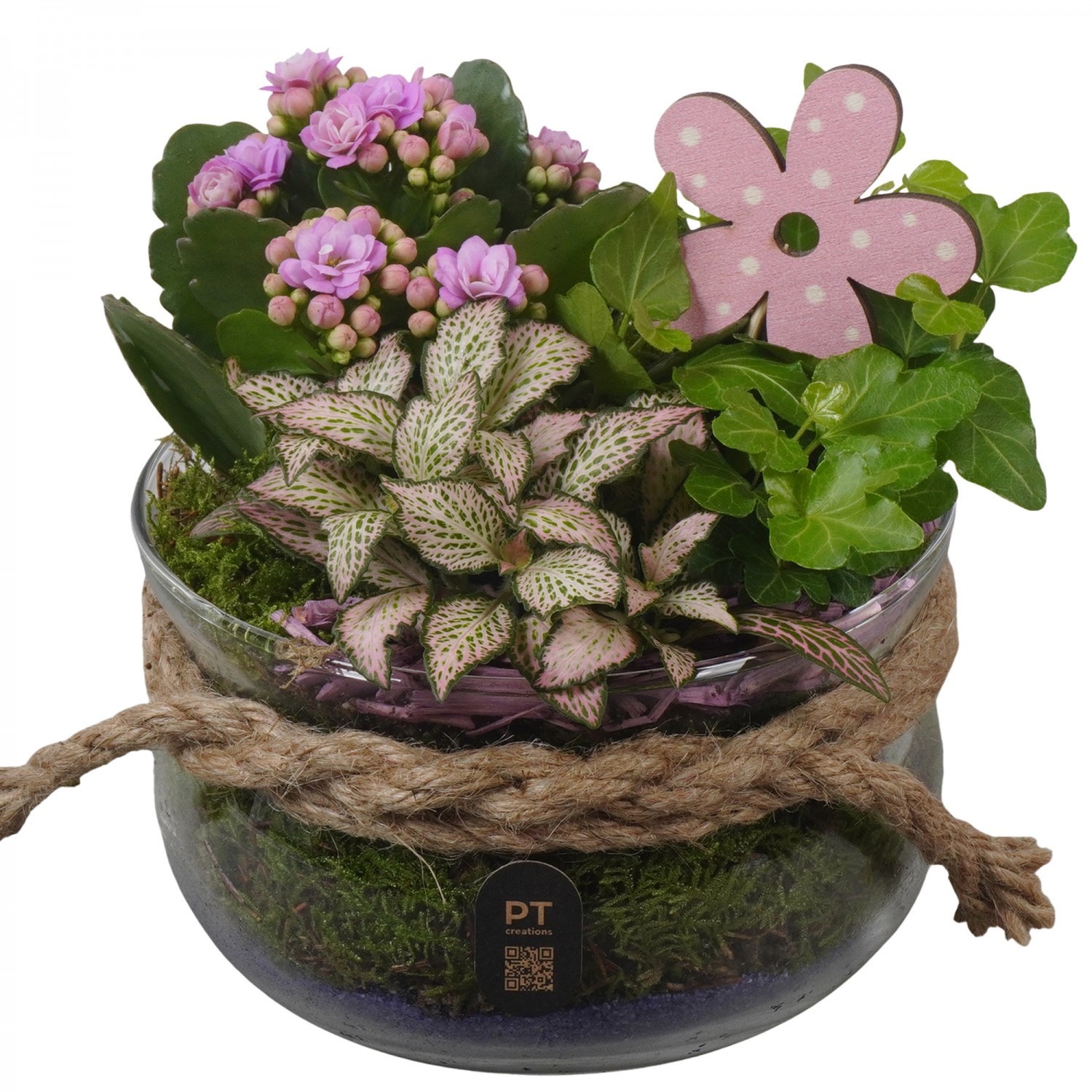 PTIG2626 Arrangement Indoor in glas schaal, D 16