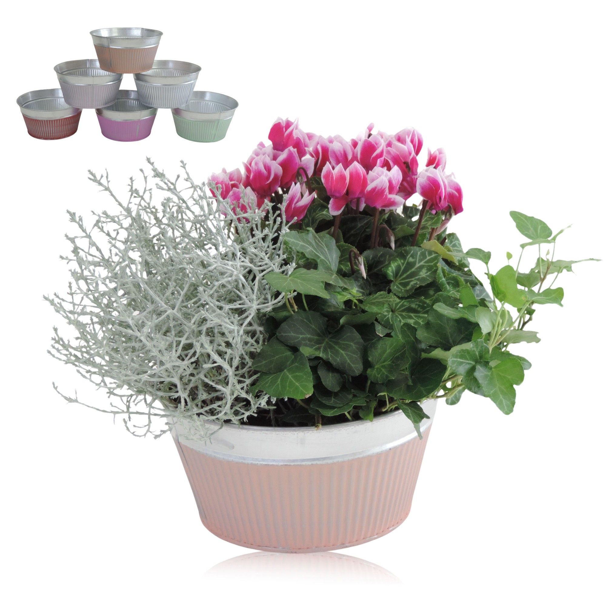 Collectie Floor Arrangement in Schaal 18 cm, D 18