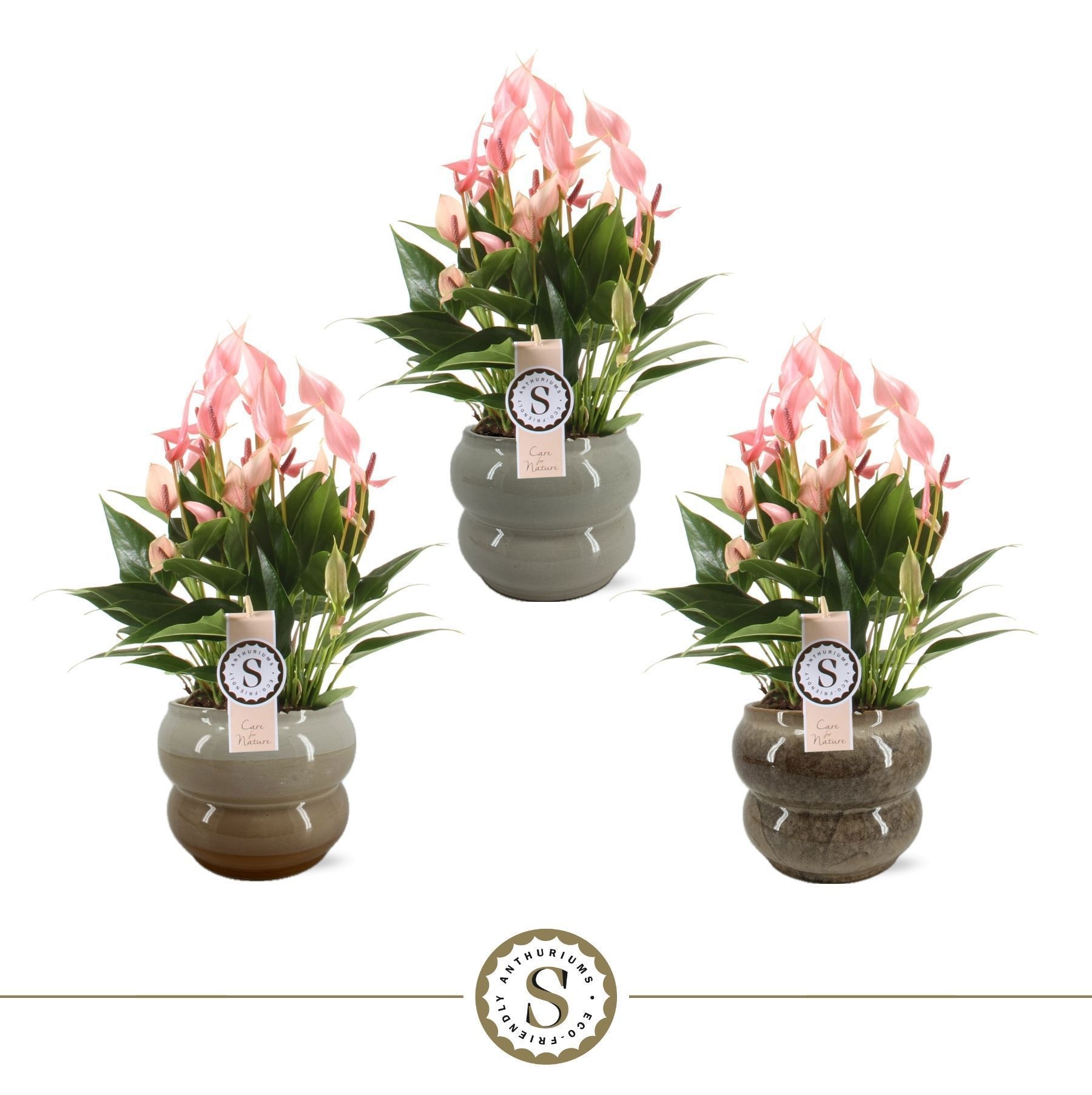 Bocelli Keramiek Lilli 14cm, D 14