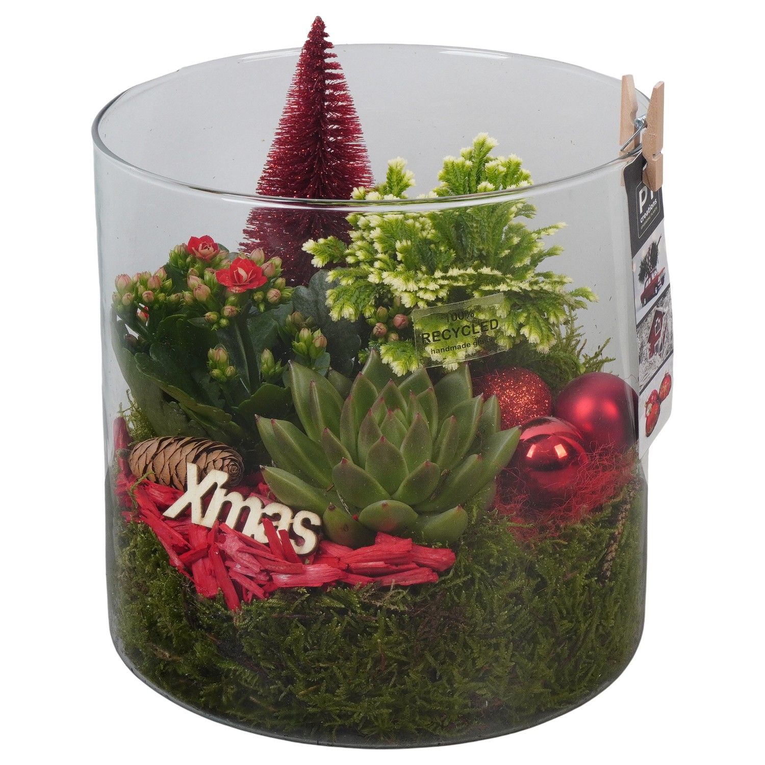 PTCHR7468 Arrangement Christmas Red in glazen pot, D 19 cm