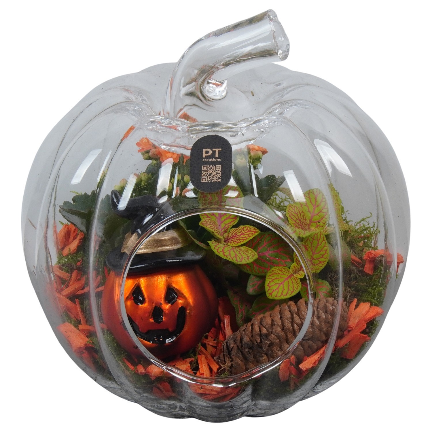 PTHL3538 Arrangement Halloween in glazen pompoen, D 19