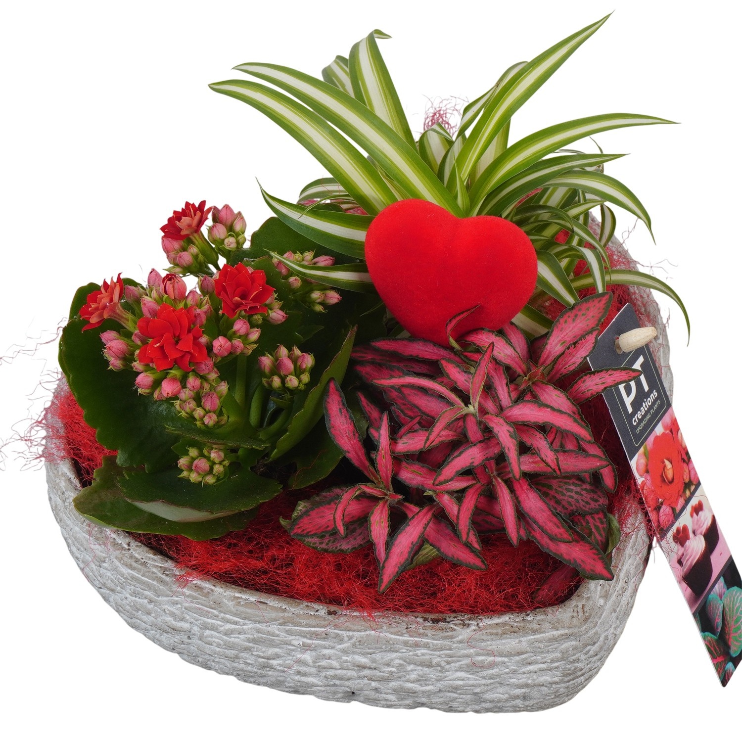 PTVMB2288 Arrangement Valentines-Mothersday in beton hart, D 18