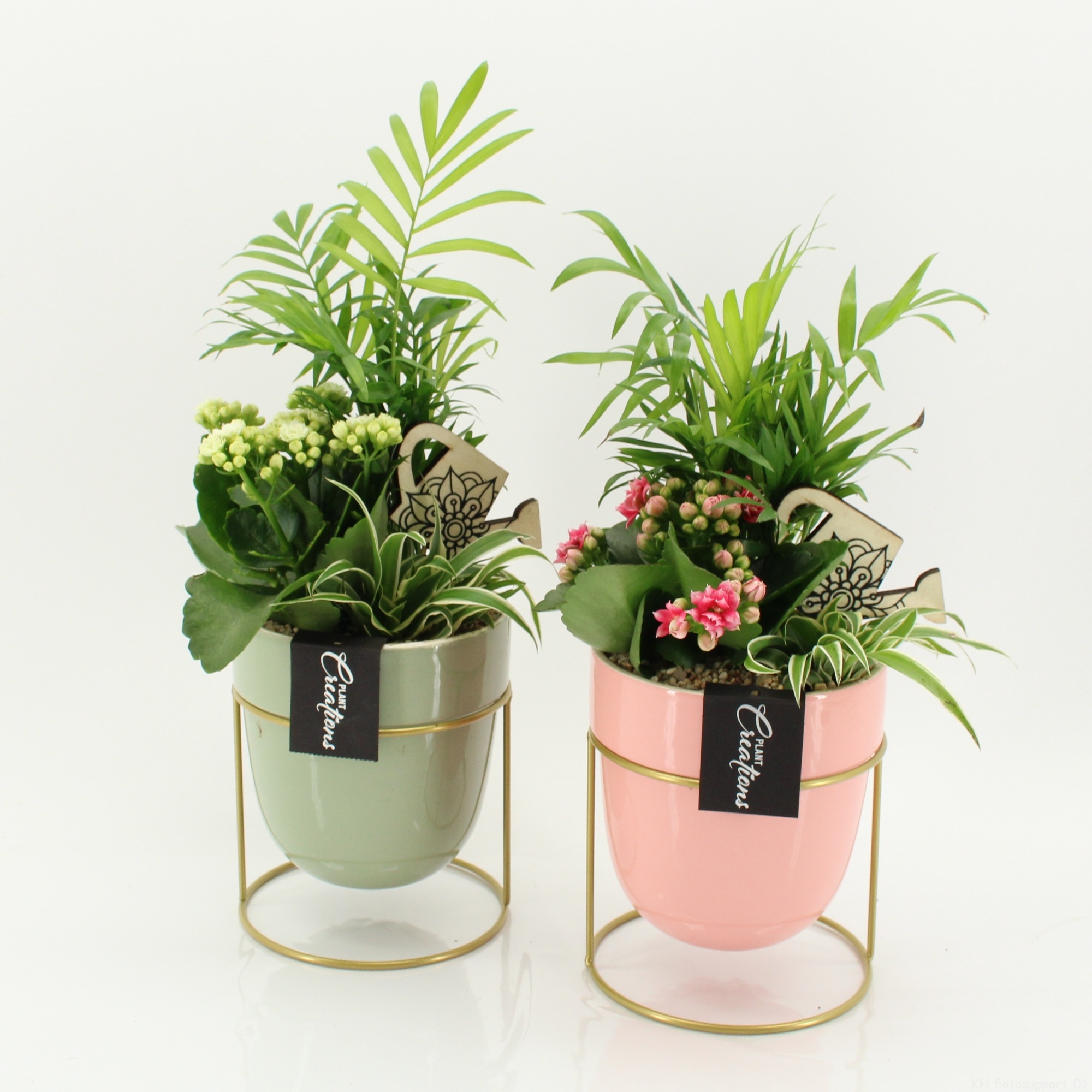 ESCR-2605M Essentials, D 13