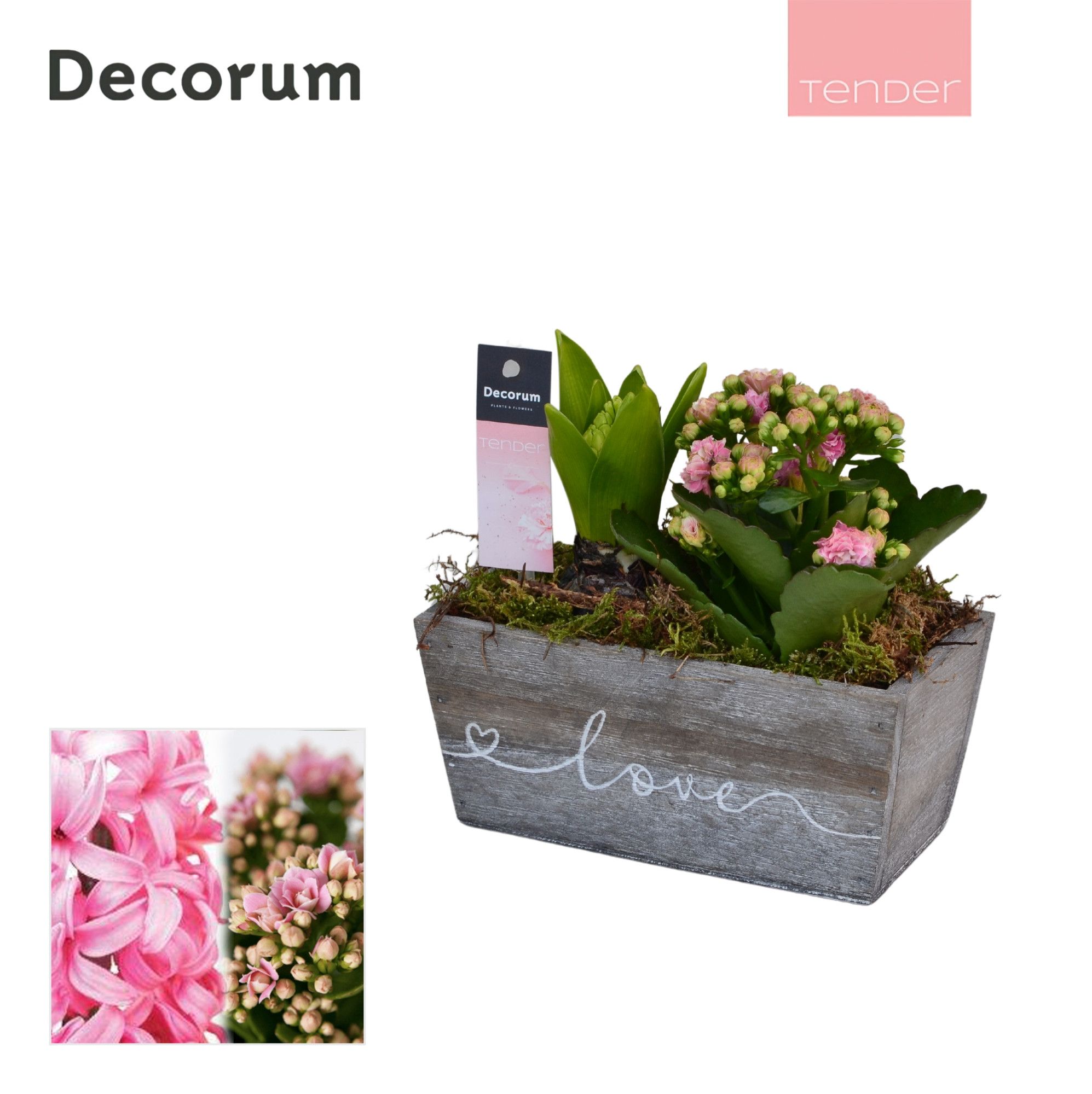 Calandiva & Hyacint Wooden Love HL23254PP [TENDER], D 17