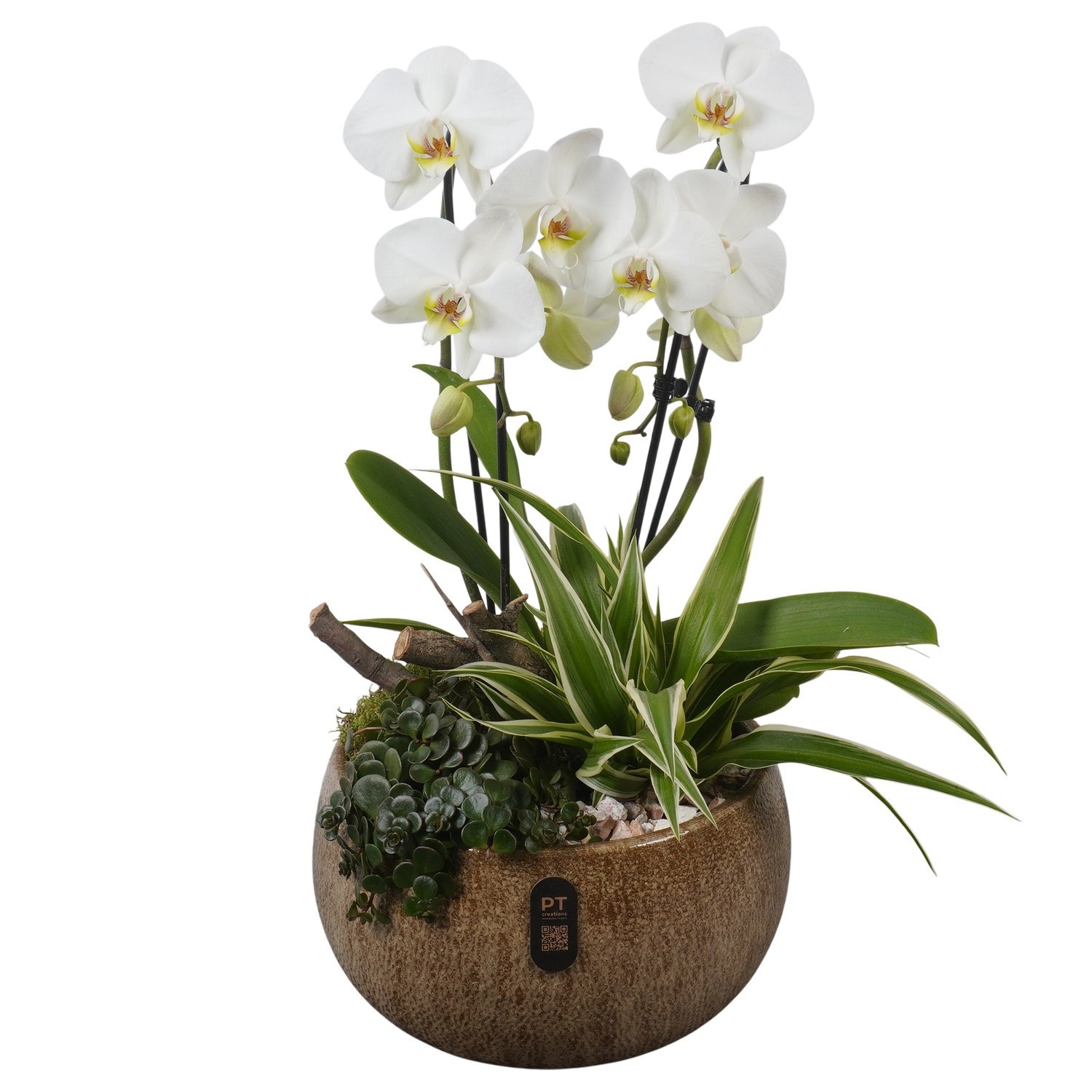 PTIB5345 Arrangement Indoor in keramiek schaal, D 26