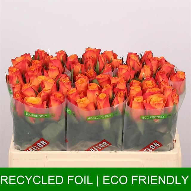 Роза од. Конфиденшиал 50, шт.