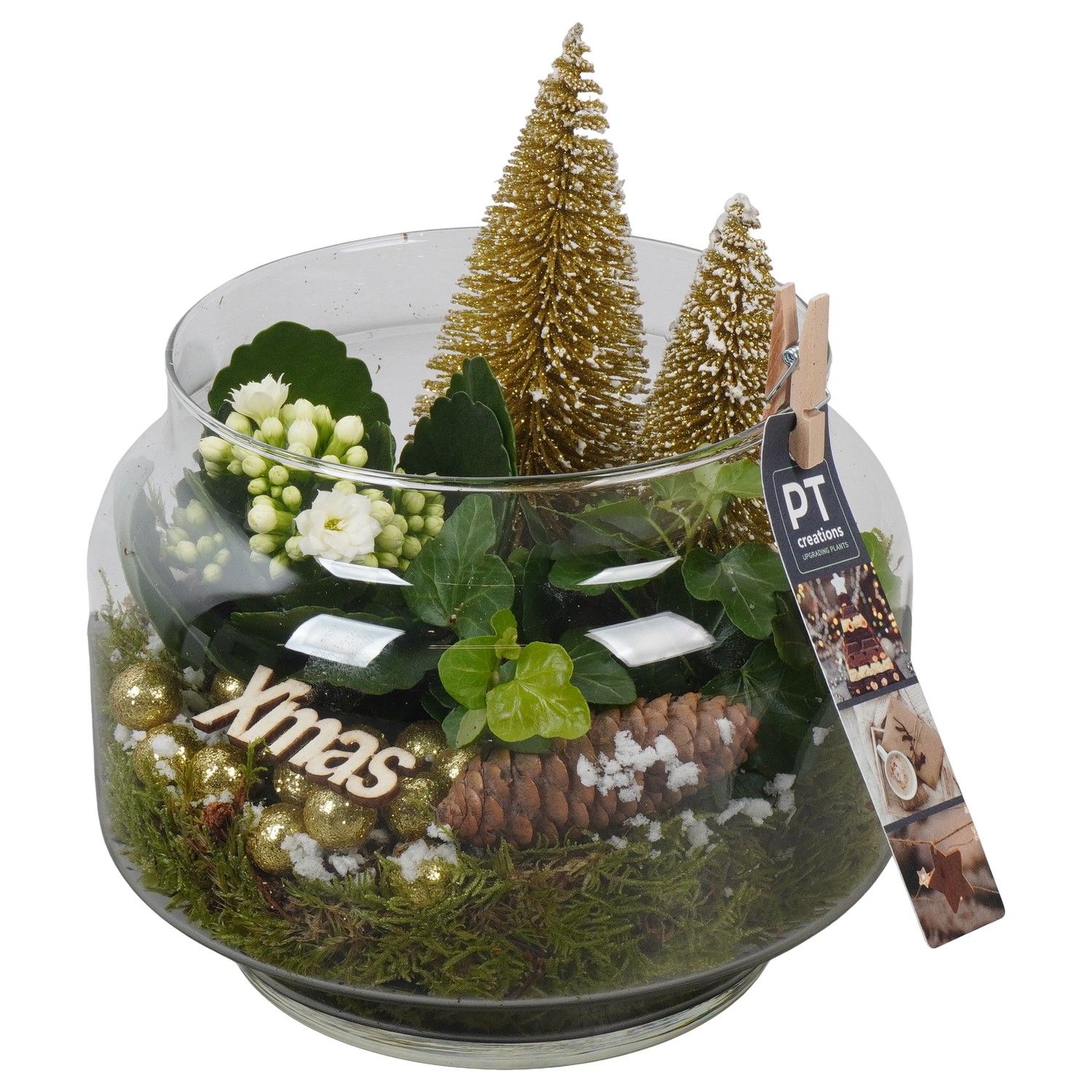 PTCHG5742 Arrangement Christmas Gold in glazen pot, D 18 cm