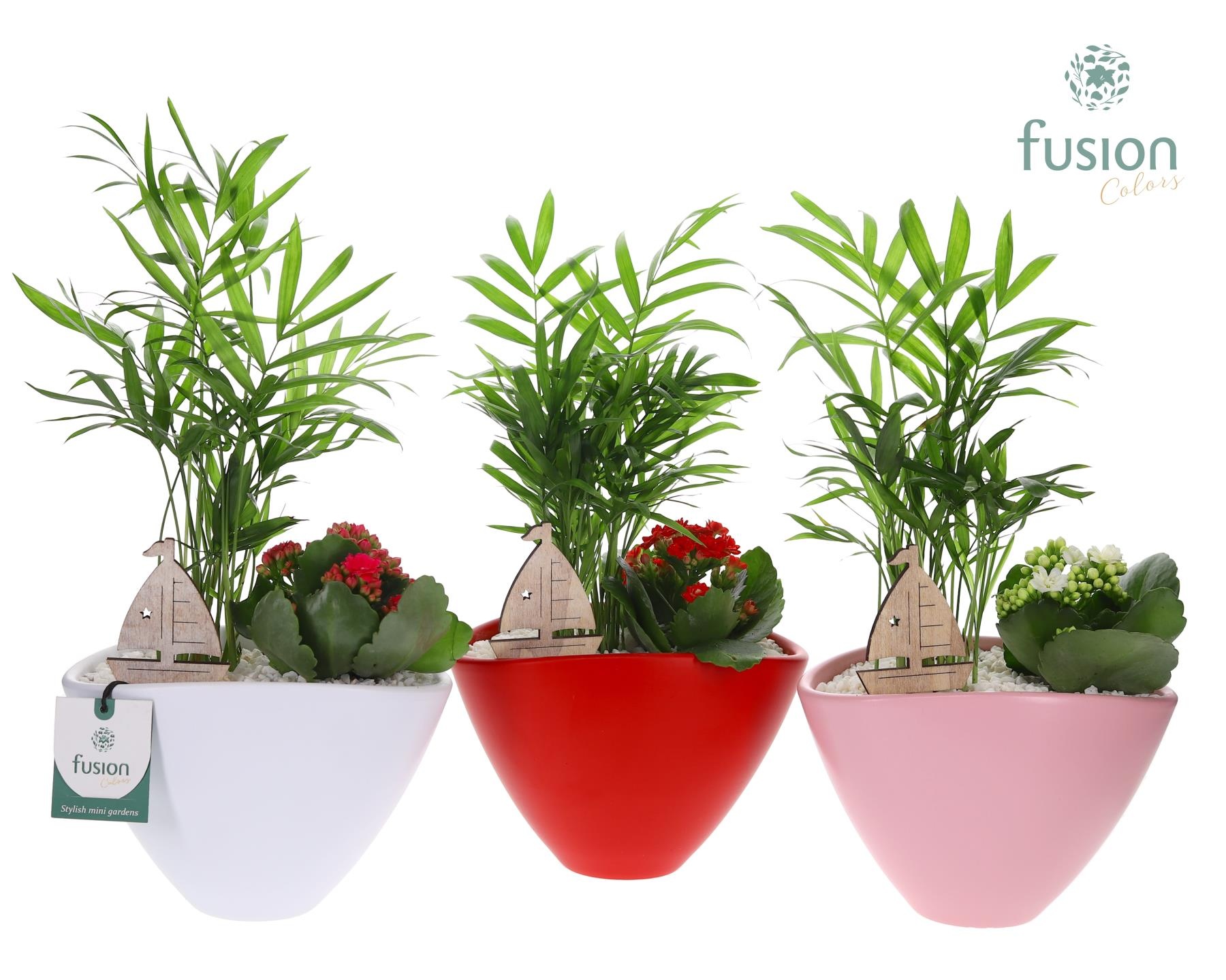 Pot keramiek ovaal Medium met Arrangement, D 18