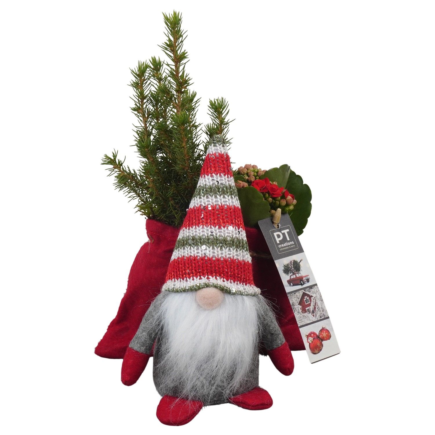 PTCHR7392 Arrangement Christmas Red in stoffen gnome, D 20 cm