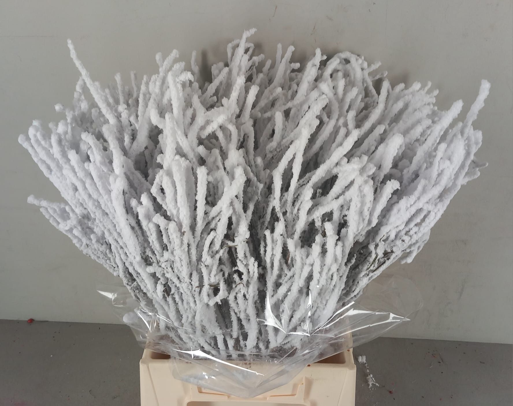 Вациниум Крашеный (краш. ) 55, шт.