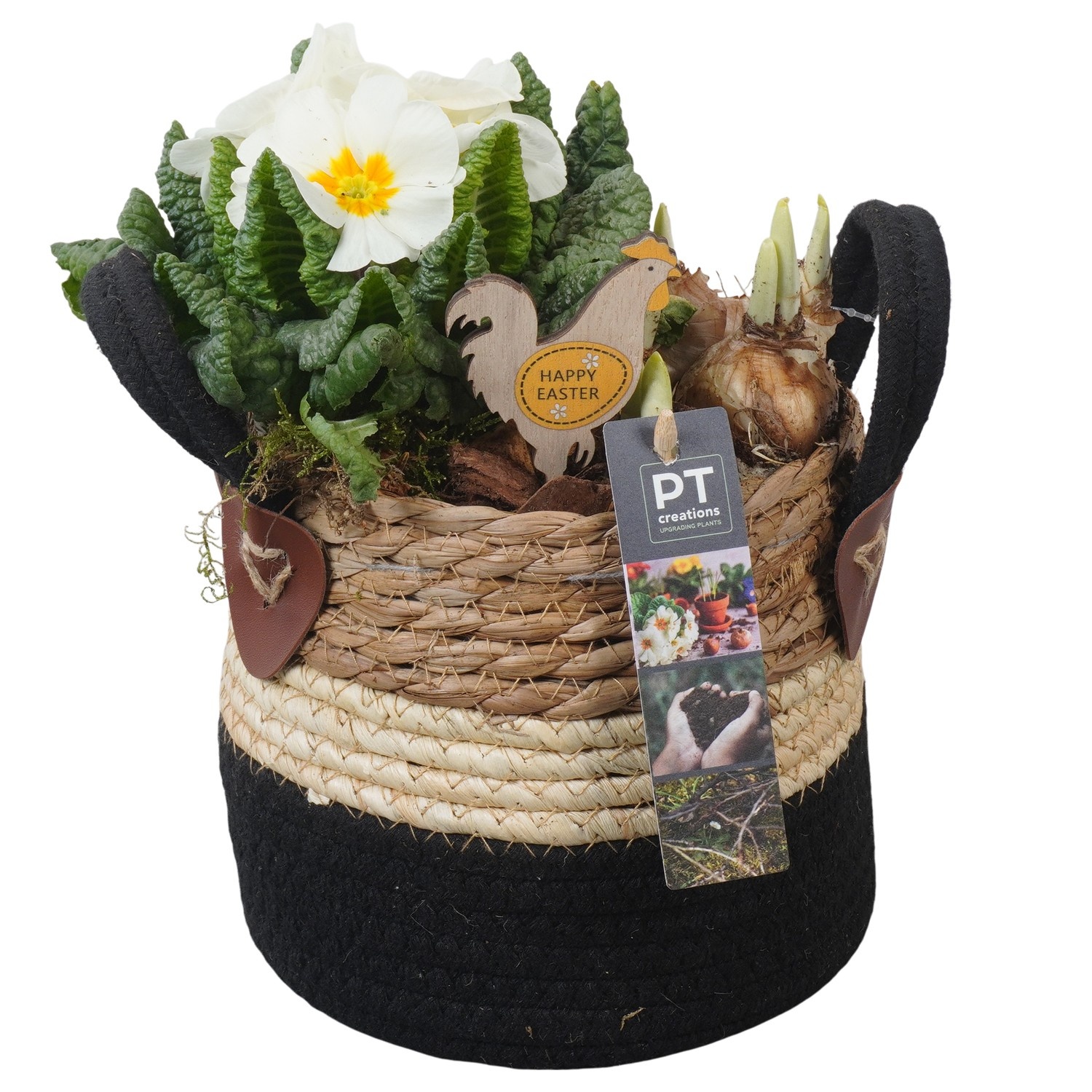 PTBMP5689 Arrangement Easter Bulbs Mix in rieten mand, D 15