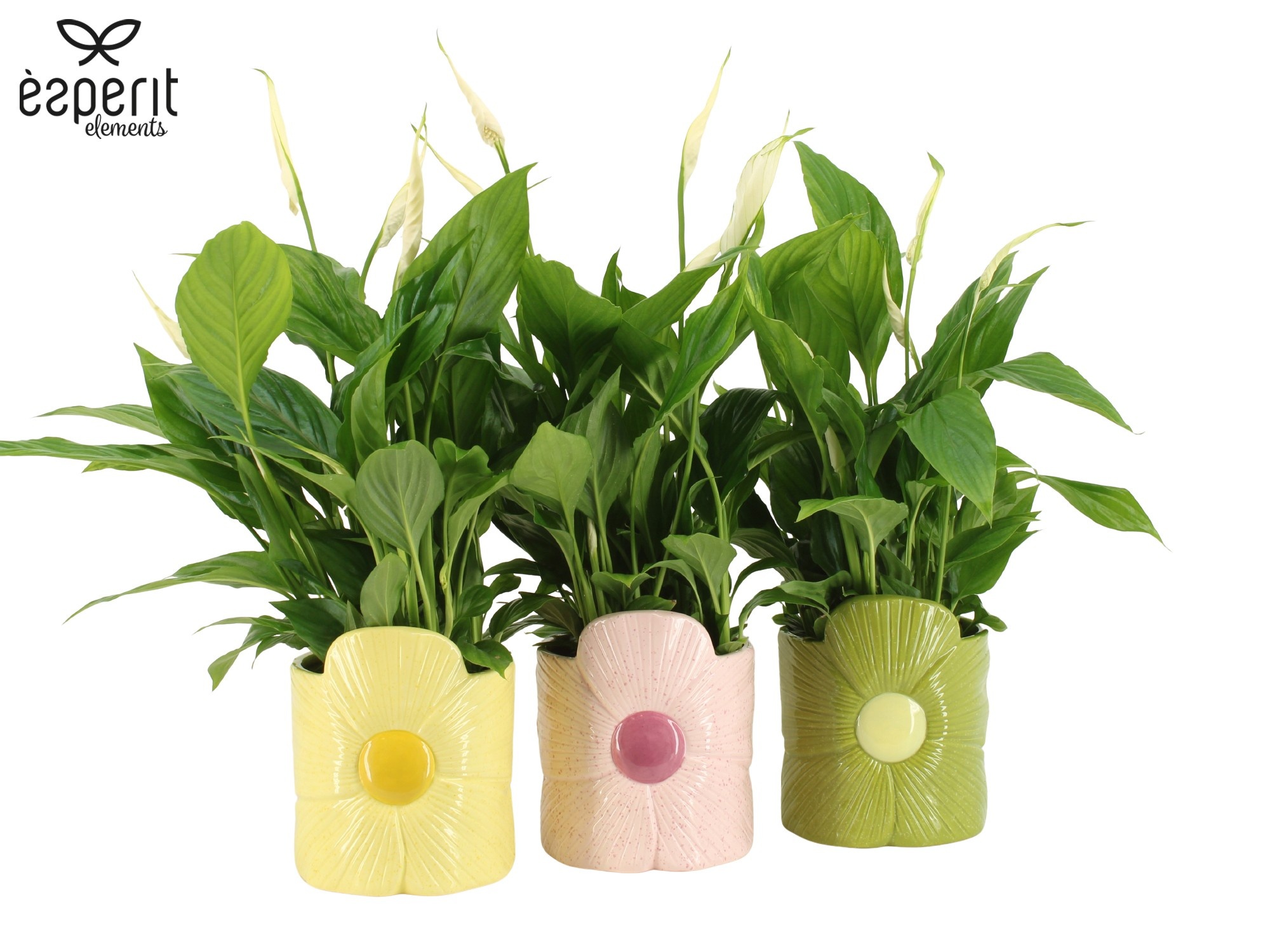 7503584: Solutionss Reinvention, D 12