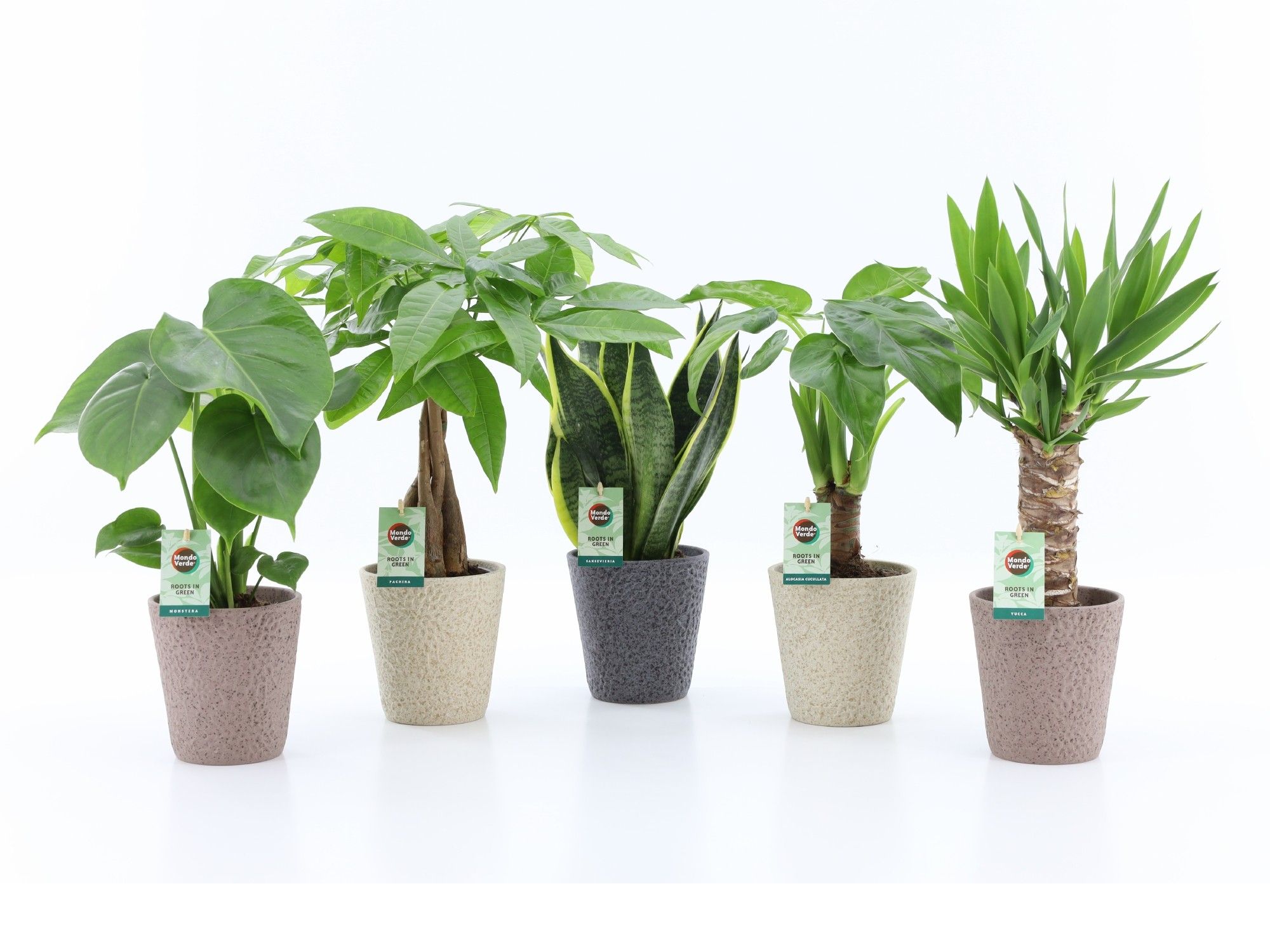 Tropic Mix in Nature keramiek, D 13