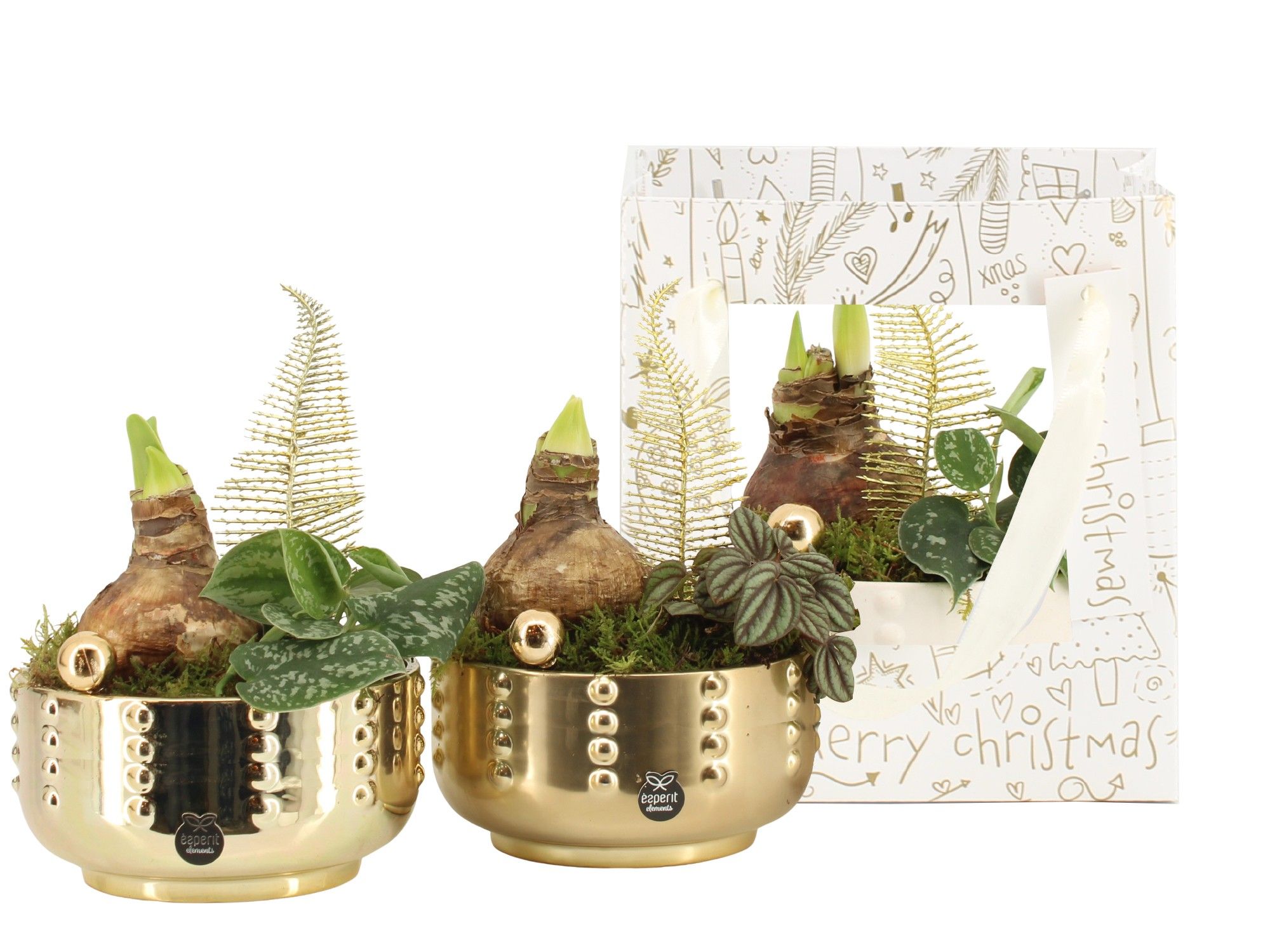 62004: X-mas arrangement, D 17