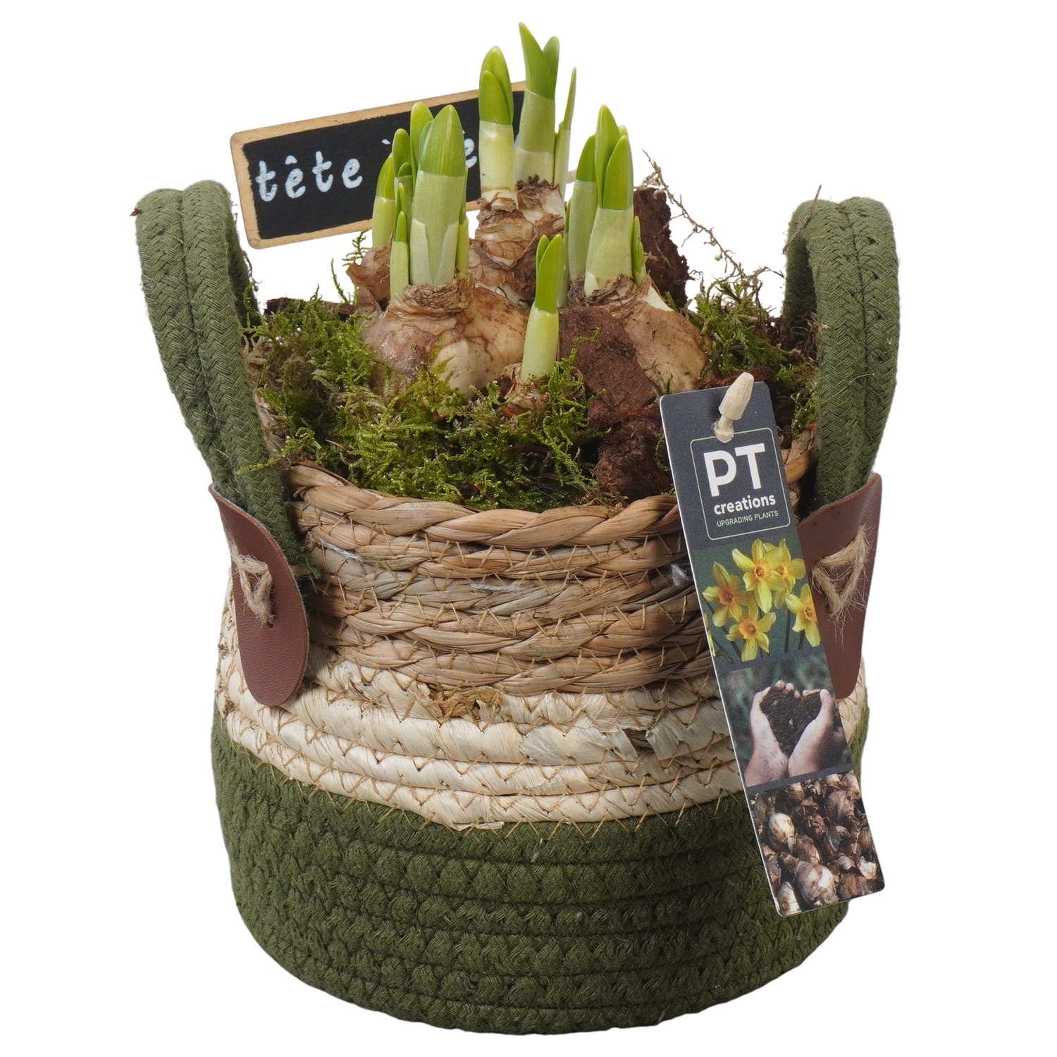 PTN8628 Arrangement Narcissus in rieten mand, D 13