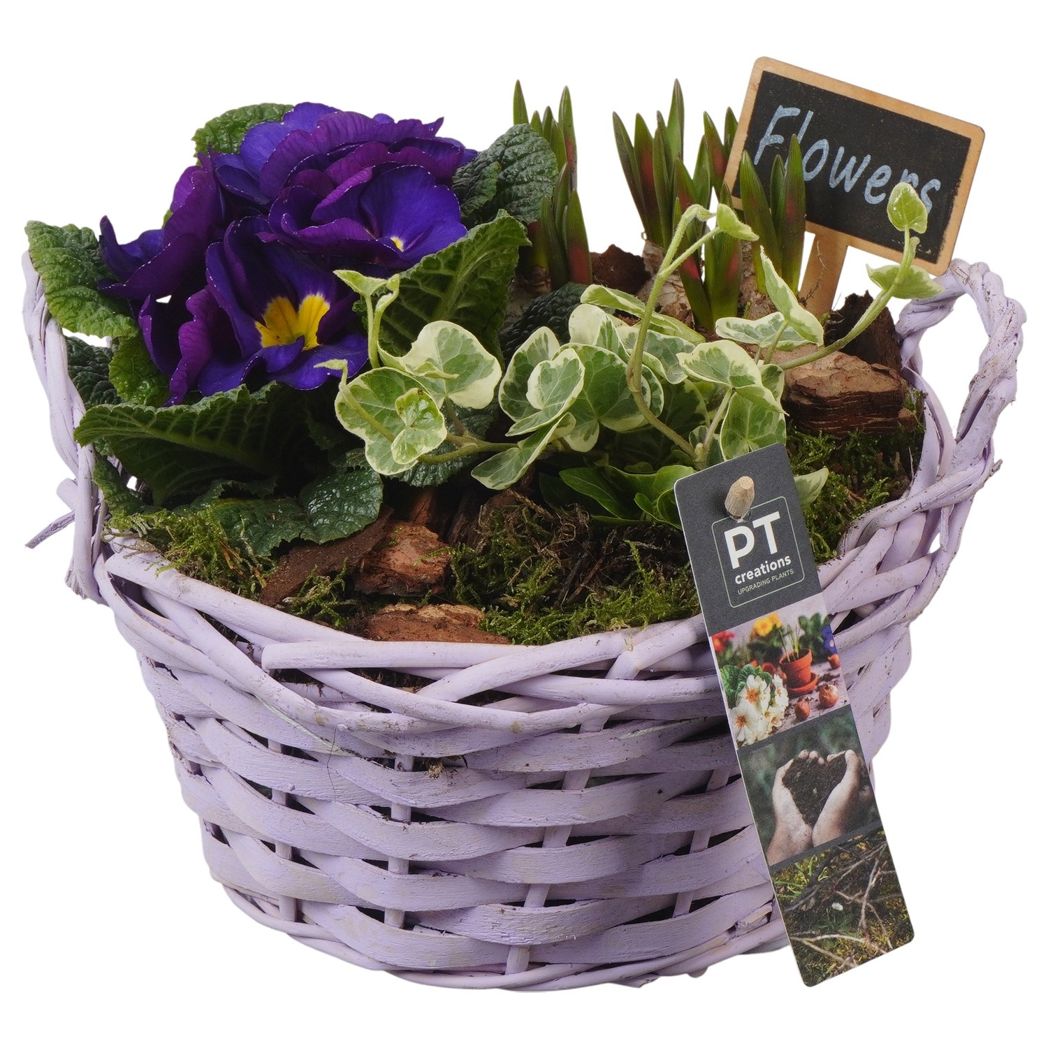 PTBM3857 Arrangement Flower Bulbs Mix in rieten mand, D 20
