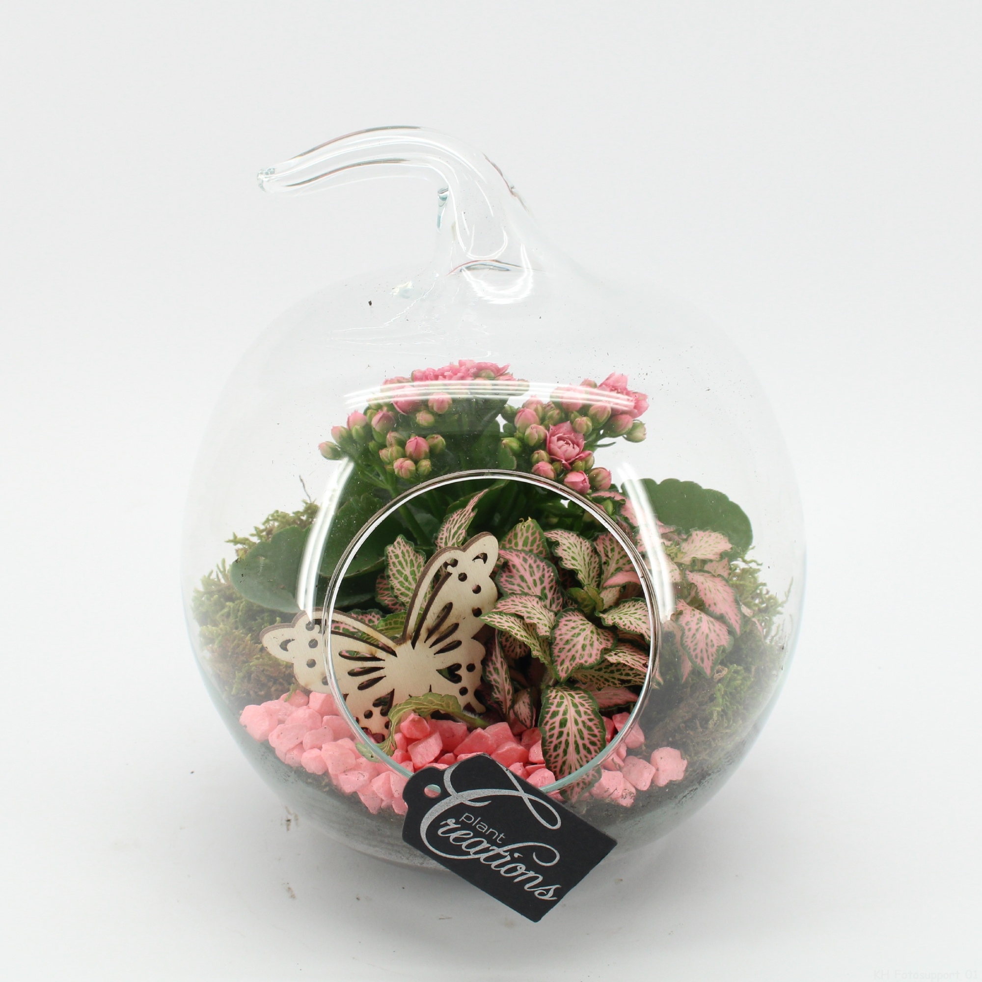 ESCR-2631RZ Essentials terrarium, D 20