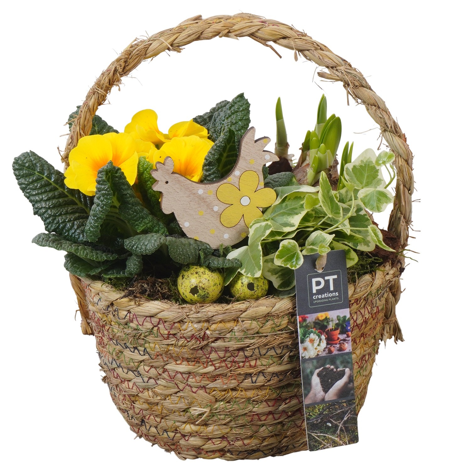 PTBMP5677 Arrangement Easter Bulbs Mix in rieten mand, D 18