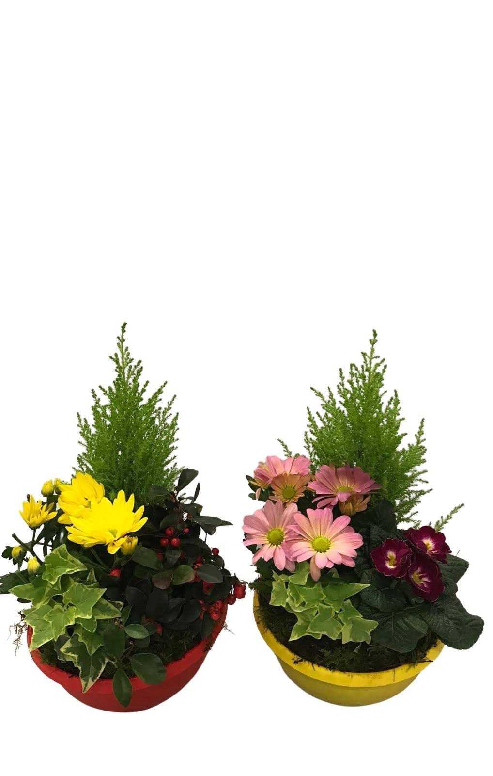 Buitenschaal arrangement A7 Mix, D 23