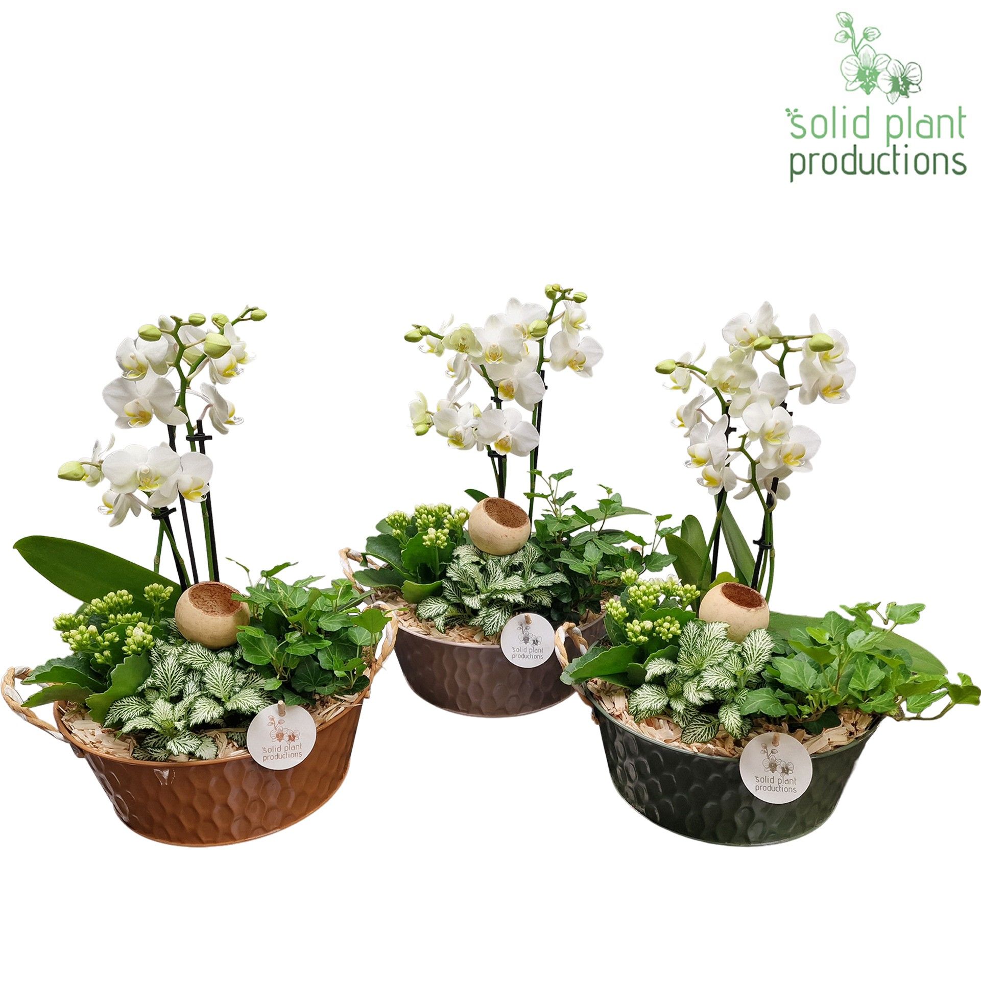 PH018 Washington, D 25