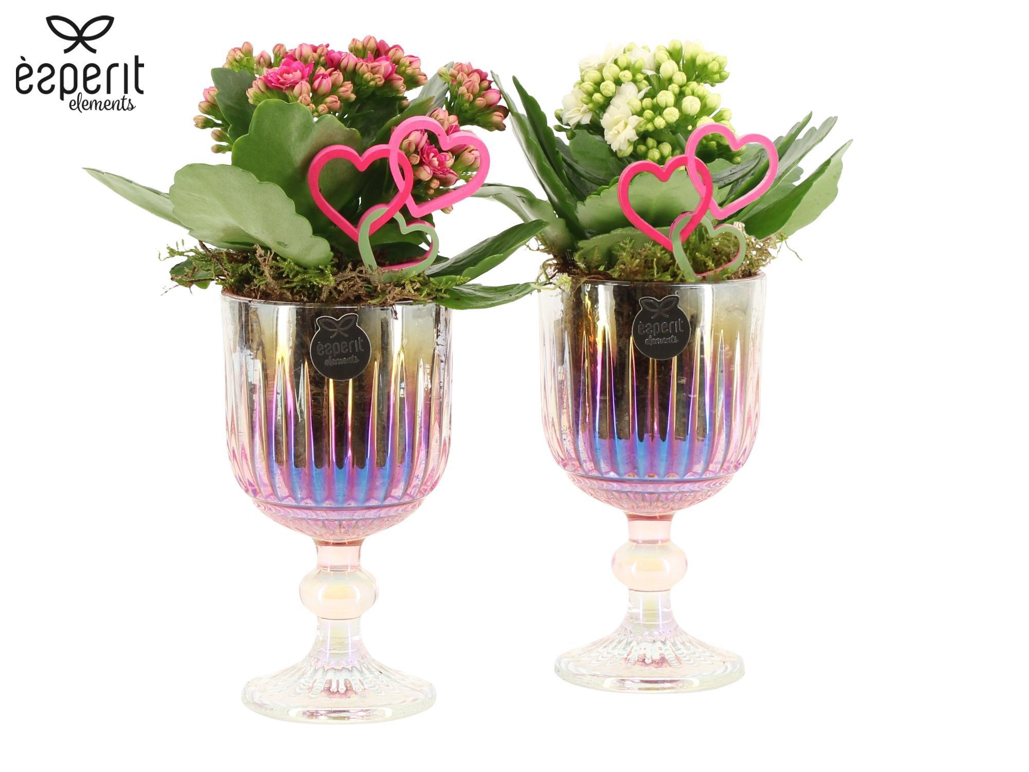 22100: Lovess arrangement, D 9