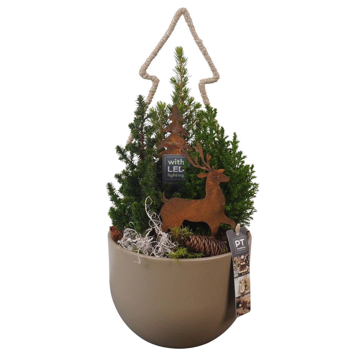 PTCWW6925 Arrangement Winter in keramiek pot, D 19 cm