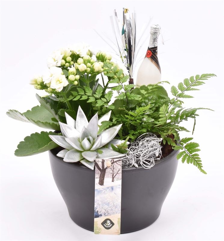 Ker. schaal mat zwart 15.5cm, D 16