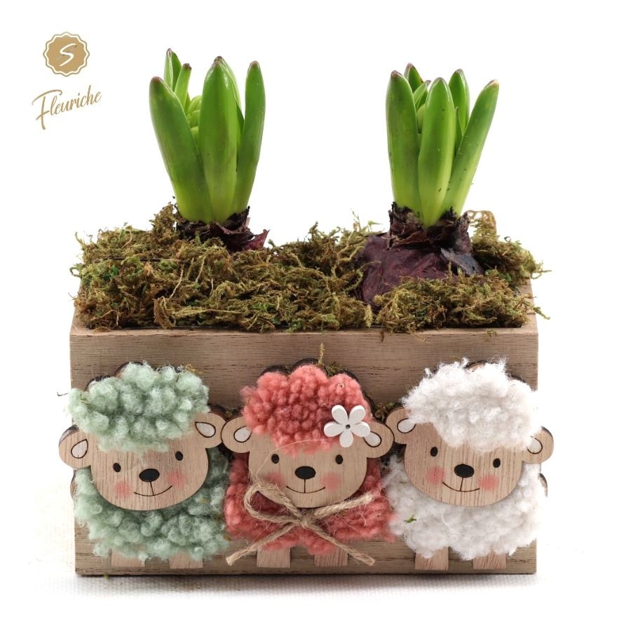 (2628) Hyacint Happy sheep [L] 2PP Mos, D 16 cm