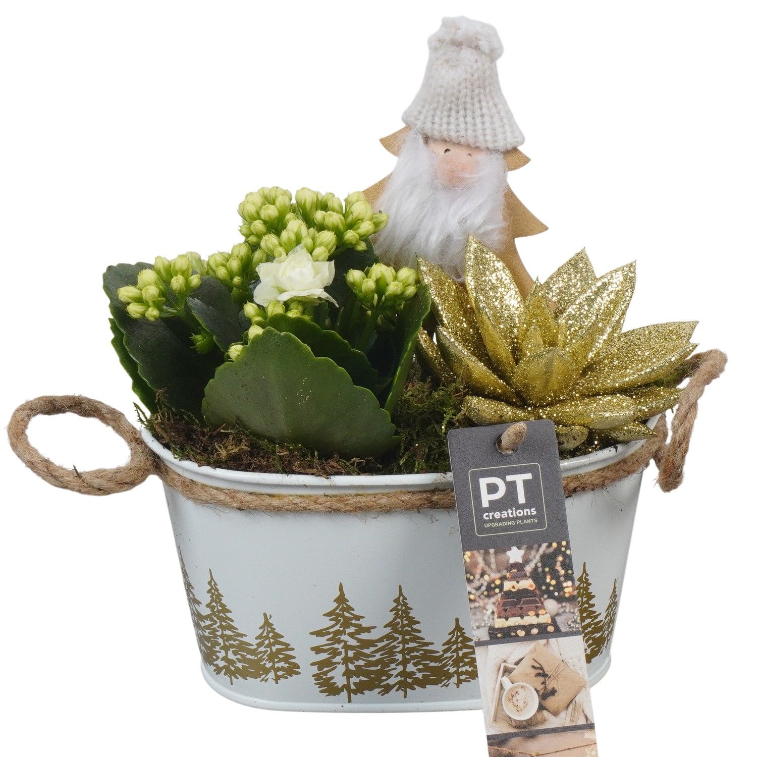 PTCHG5655 Arrangement Christmas Gold in metaal pot, D 15 cm