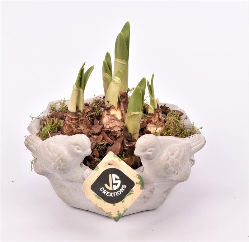 Cement vogelschaal 18cm, D 18