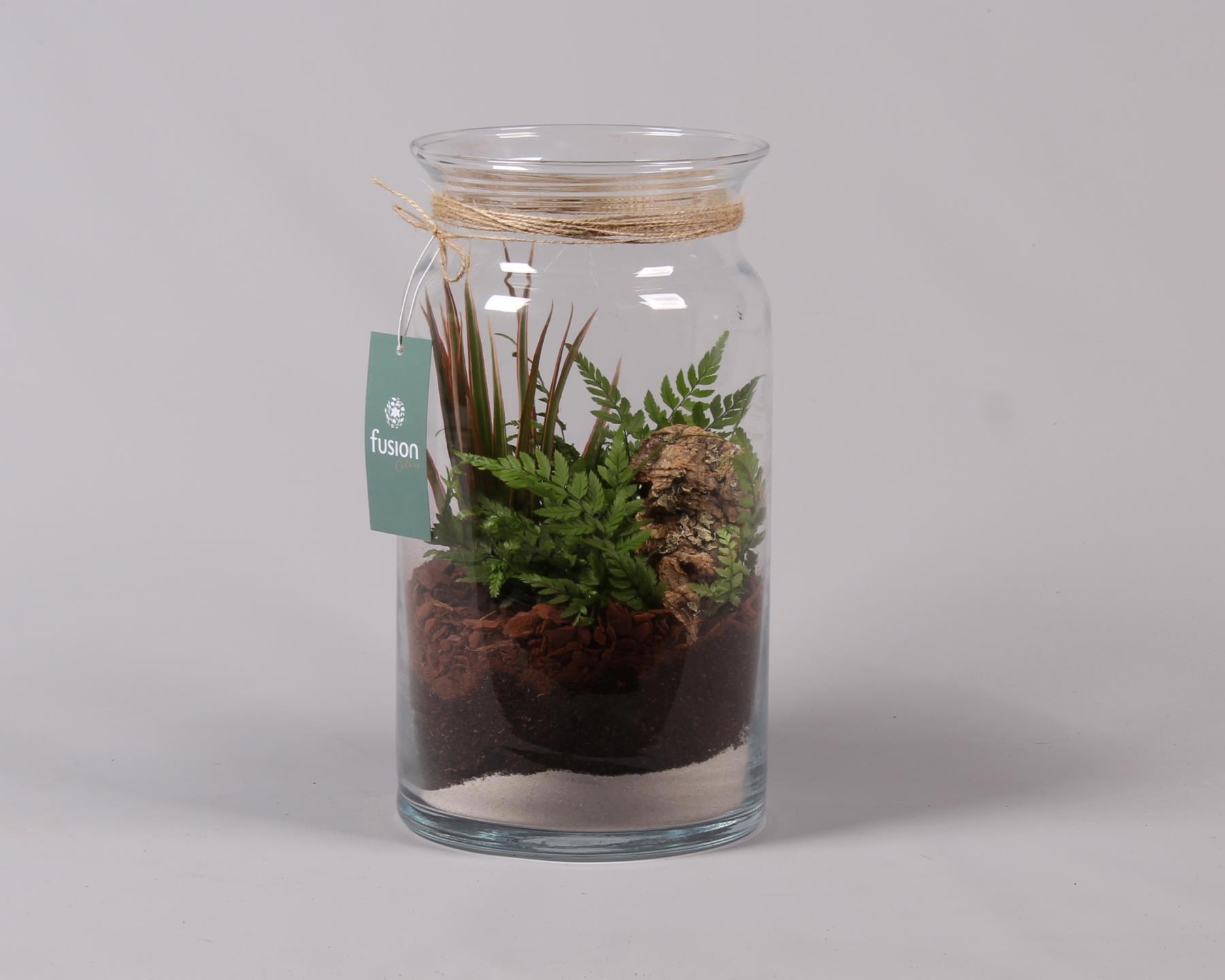 Glas Melkbus met Arrangement, D 16