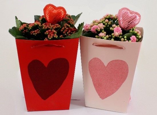 Calandiva 12 cm in Cadeautas Hart valentijn met steker, D 13