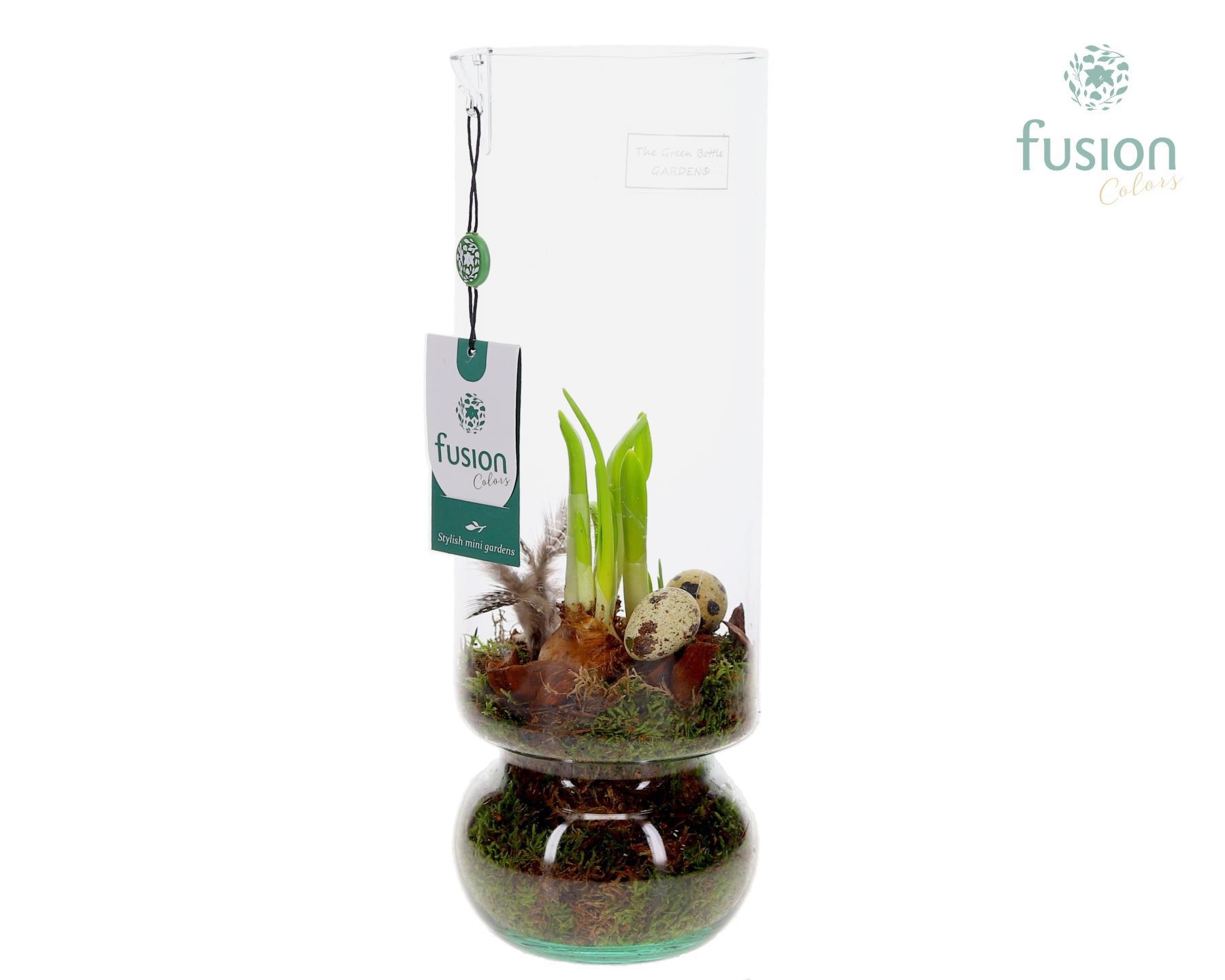 Green BottleAngelica Large met Pasen arrangement, D 12