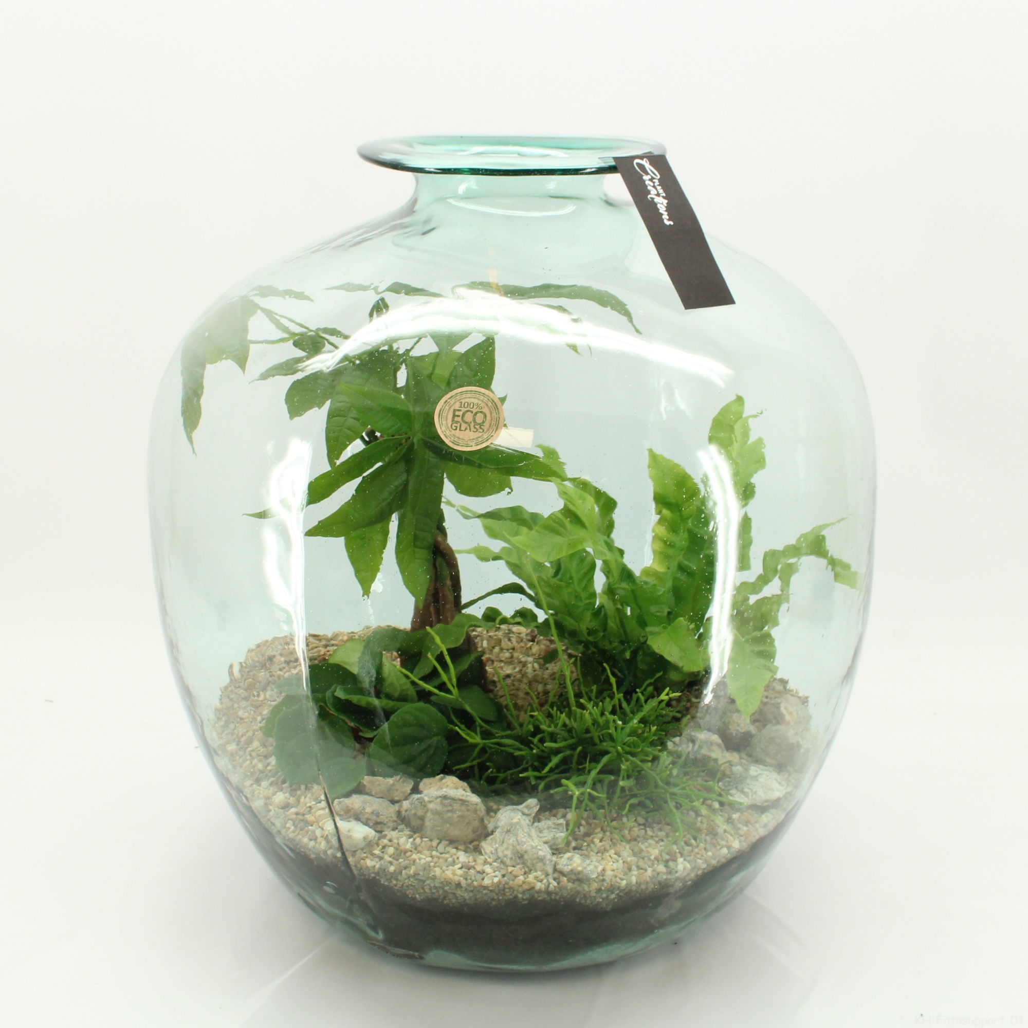 GRCR-2614 Green Essentials terrarium, D 45