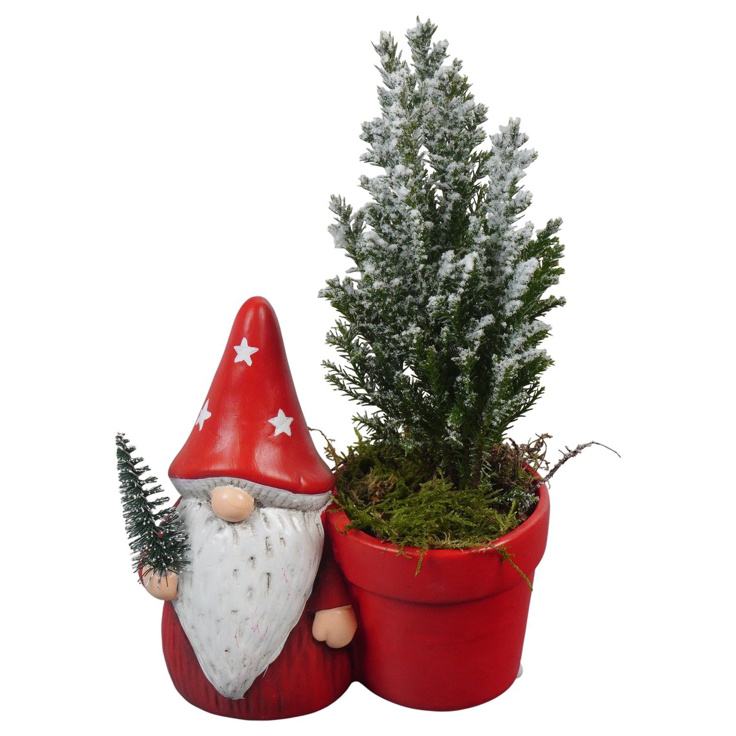 PTCHR7275 Arrangement Christmas Red in keramiek pot, D 13 cm