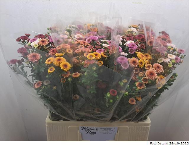 Сантини Микс, шт. Сантини Микс, шт.