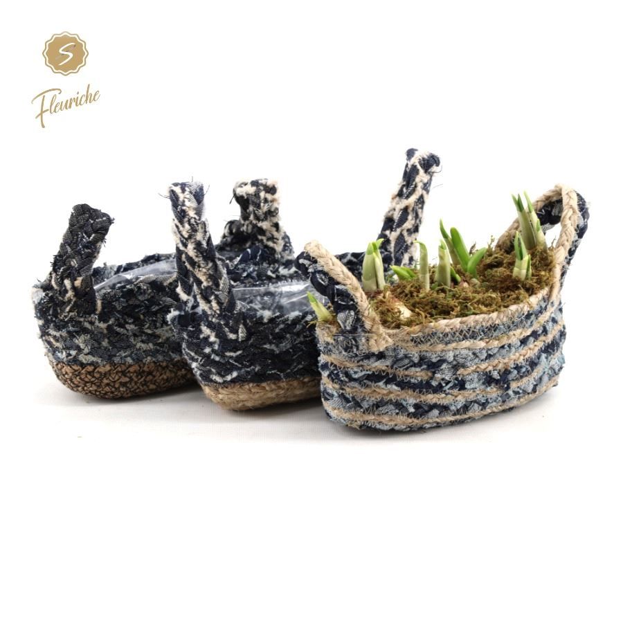 (3707) Narcissus Blue Jeans Oval 3PP Mos, D 13 cm