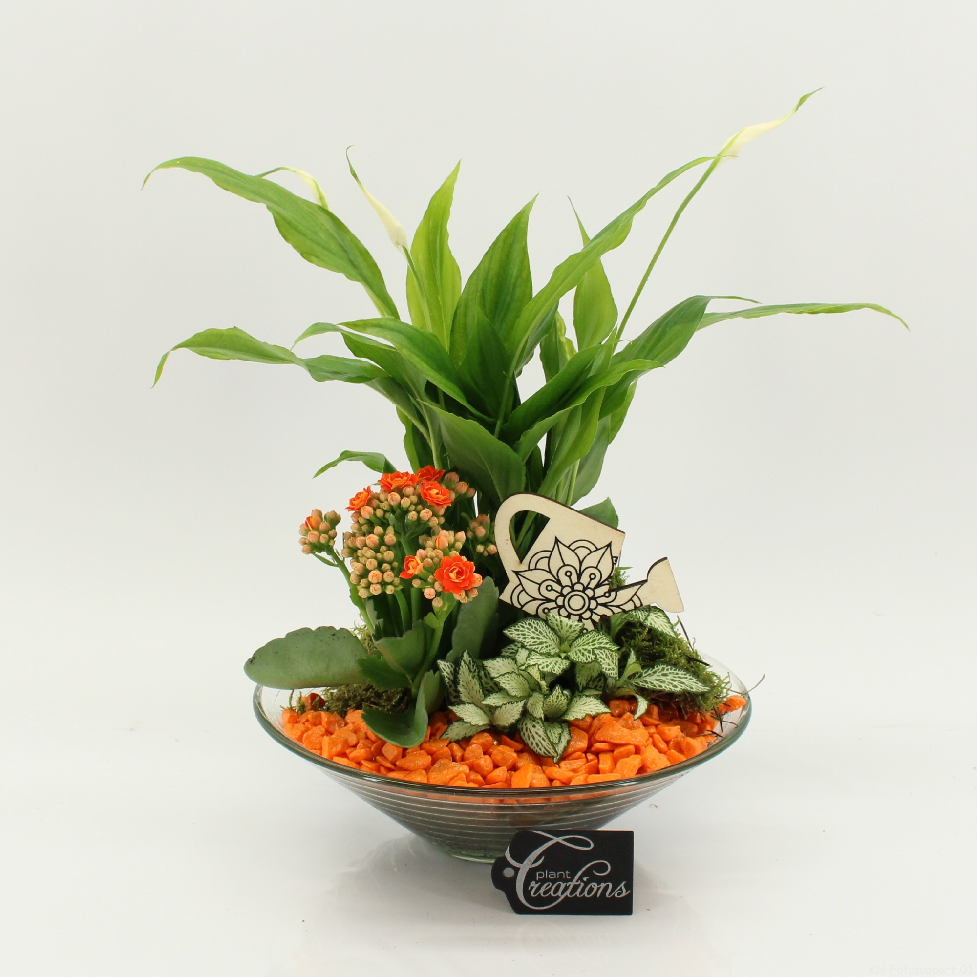 FDCR-2602OR Basic Fundamentals, D 25