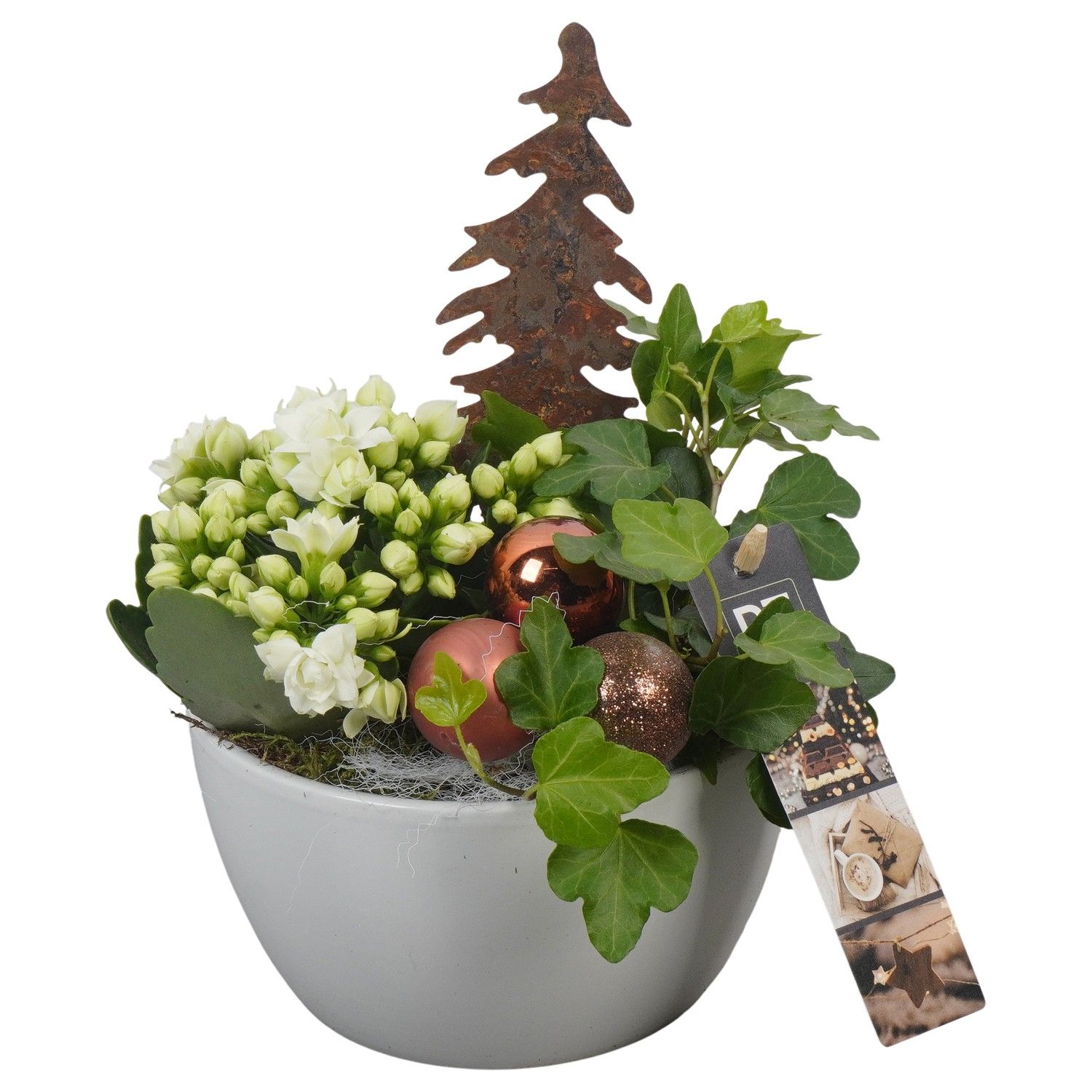 PTCHB9743 Arrangement Christmas Bronze in keramiek schaal, D 14 cm