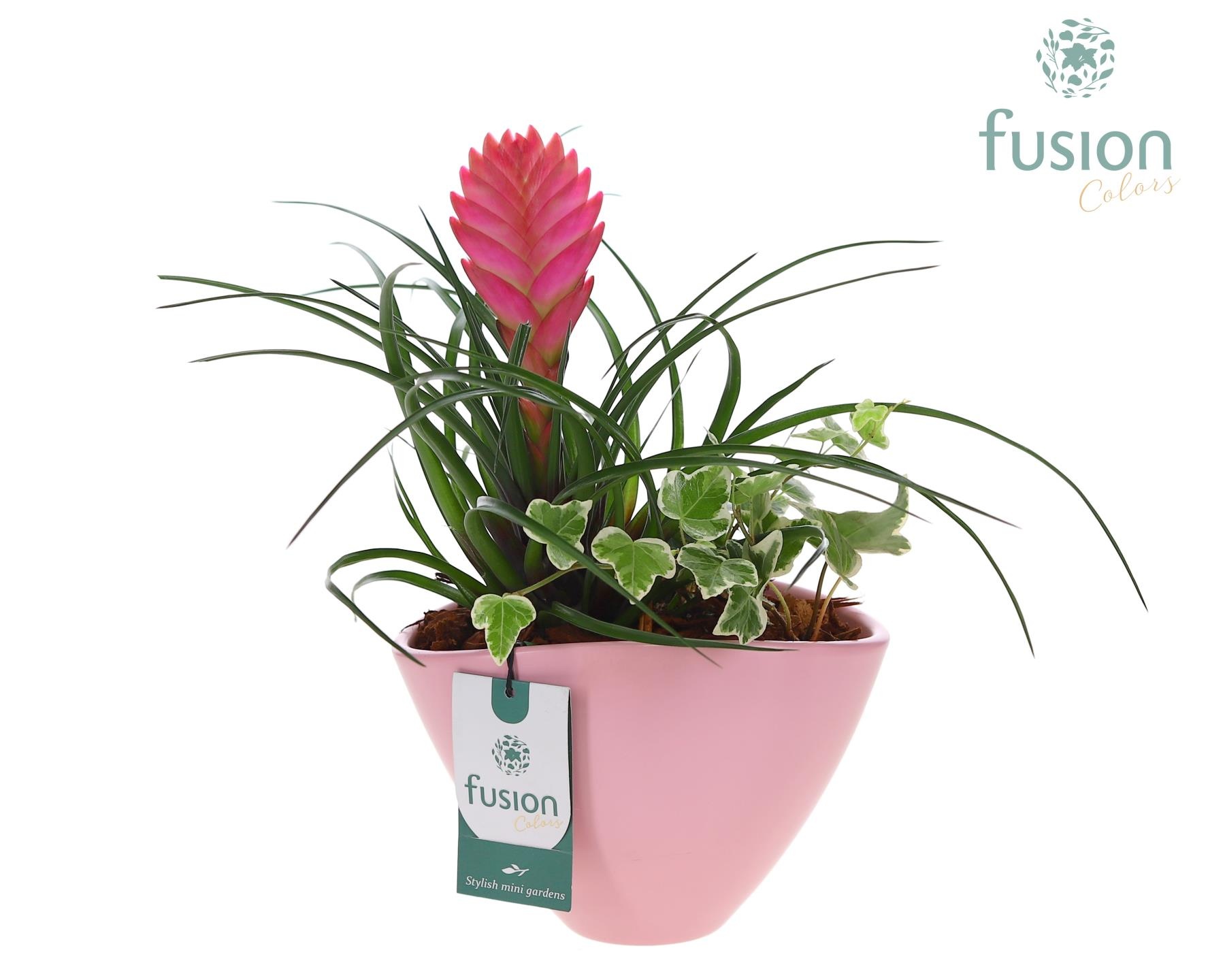 Pot keramiek ovaal Medium met Arrangement, D 18