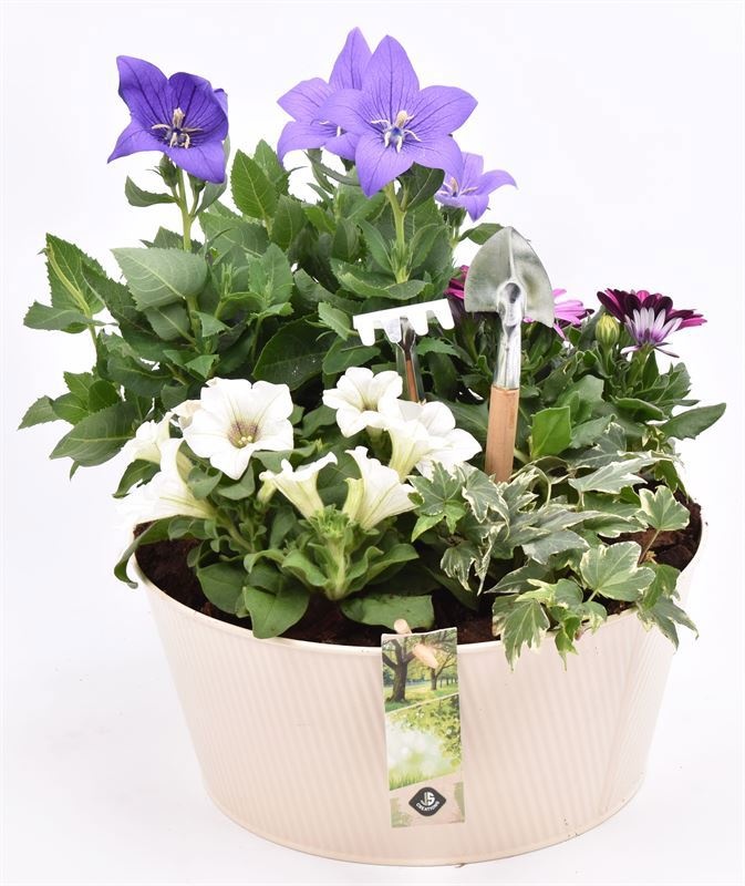 Zink schaal ribbel creme 25cm, D 25