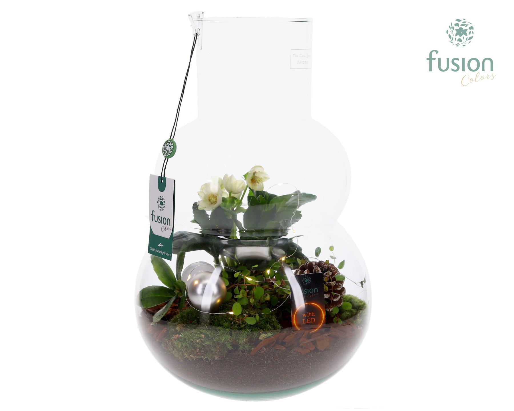 Green Bottle Olaf Large met Kerst arrangement, D 26 cm Green Bottle Olaf Large met Kerst arrangement, D 26 cm
