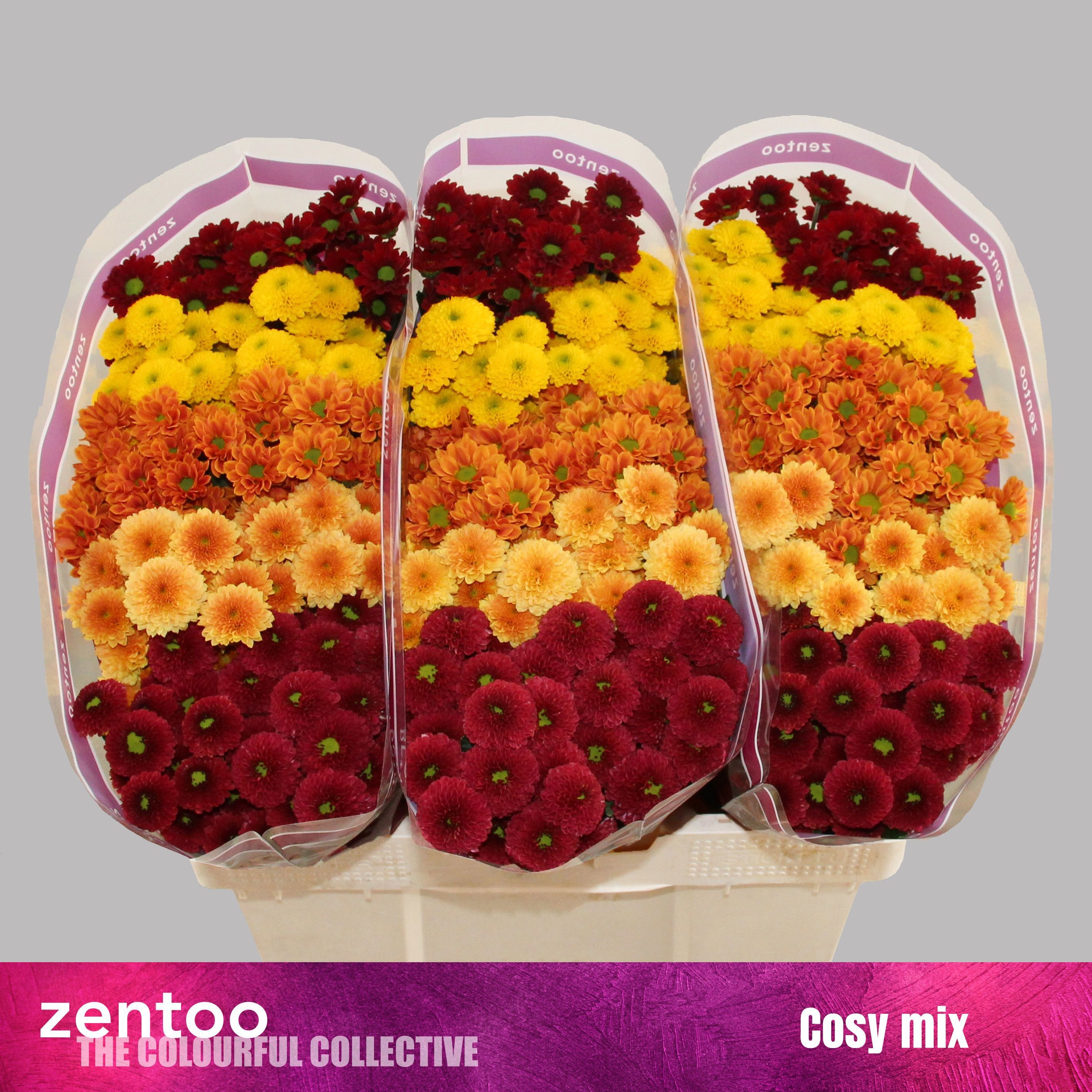 Сантини Микс, шт. Сантини Микс, шт.