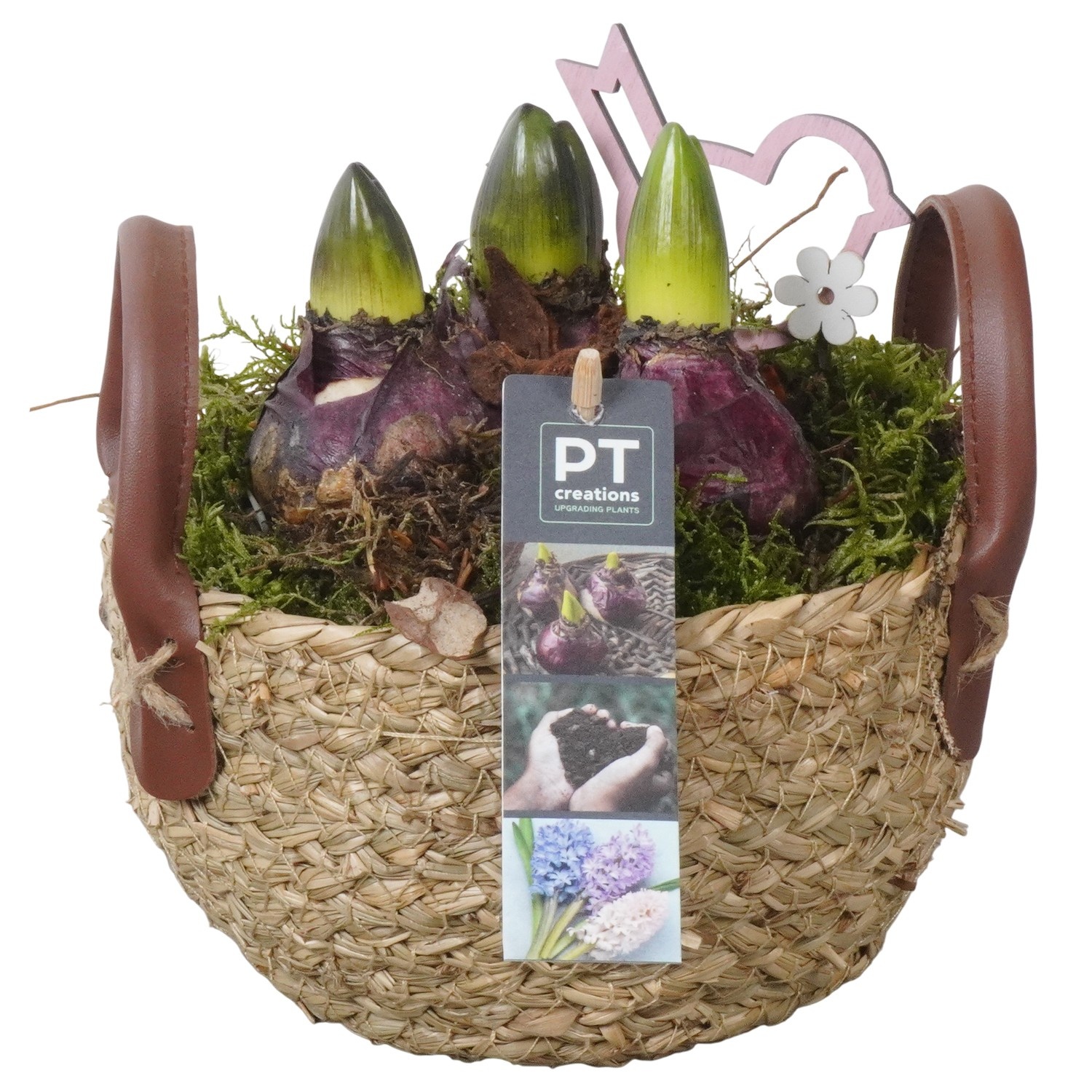 PTHC9157 Arrangement Hyacints in riet mand, D 15