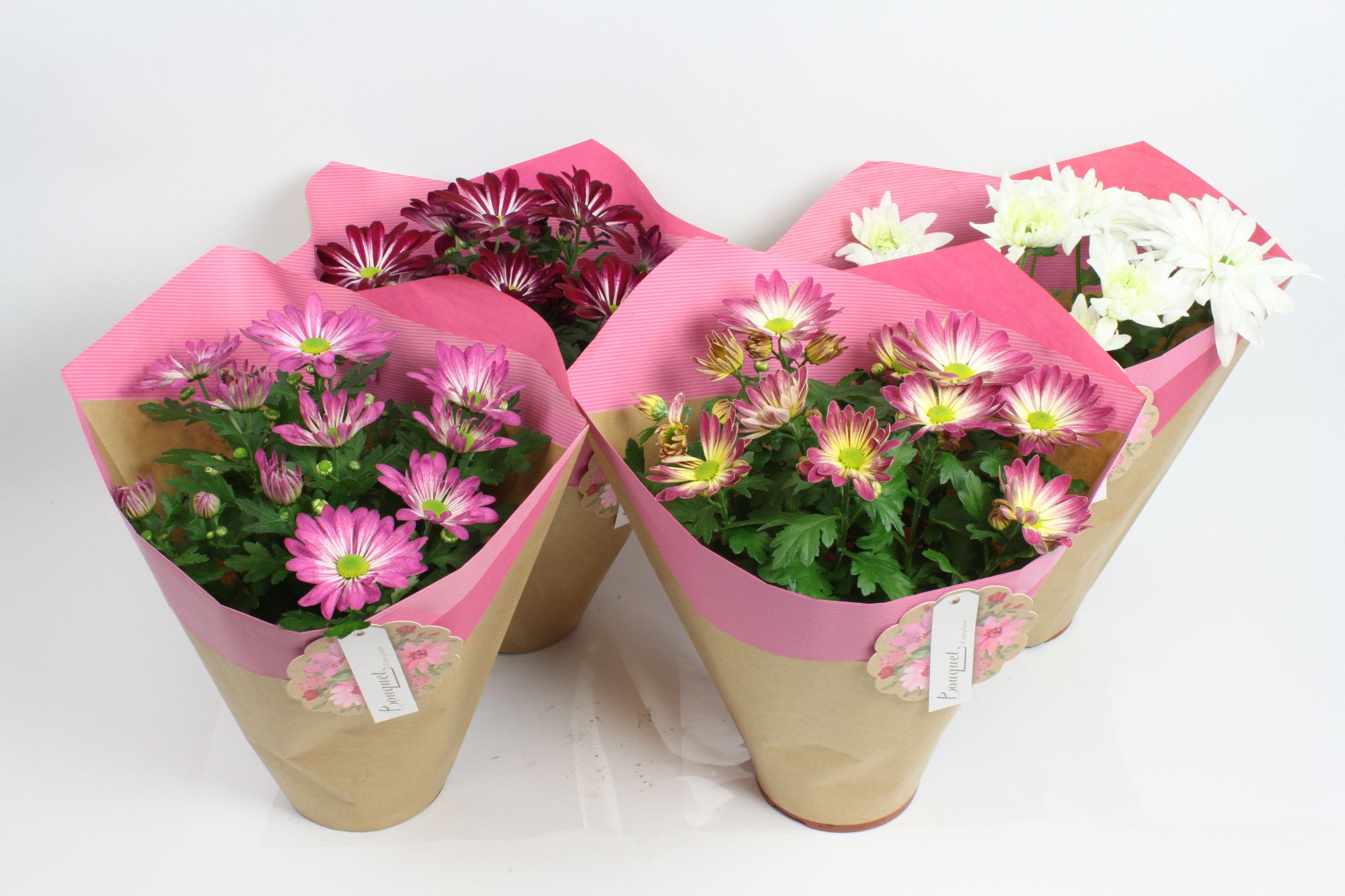 Papier Duo hoes roze 14 cm, D 14