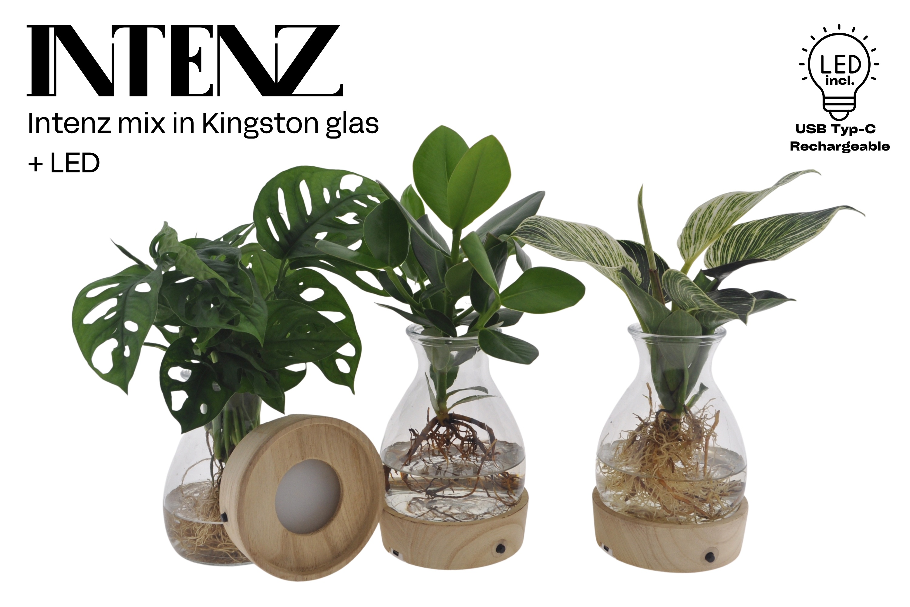 Intenz mix in Kingston glas + LED - levertijd: 24 uur, D 12
