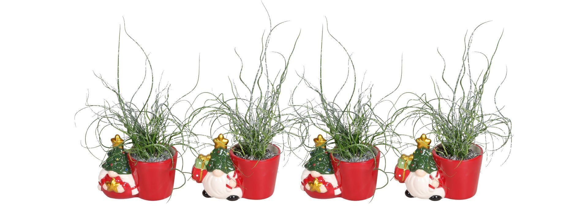 L 67445 With Juncus 'Spiralis' Glitter 6 cm, D 6 cm