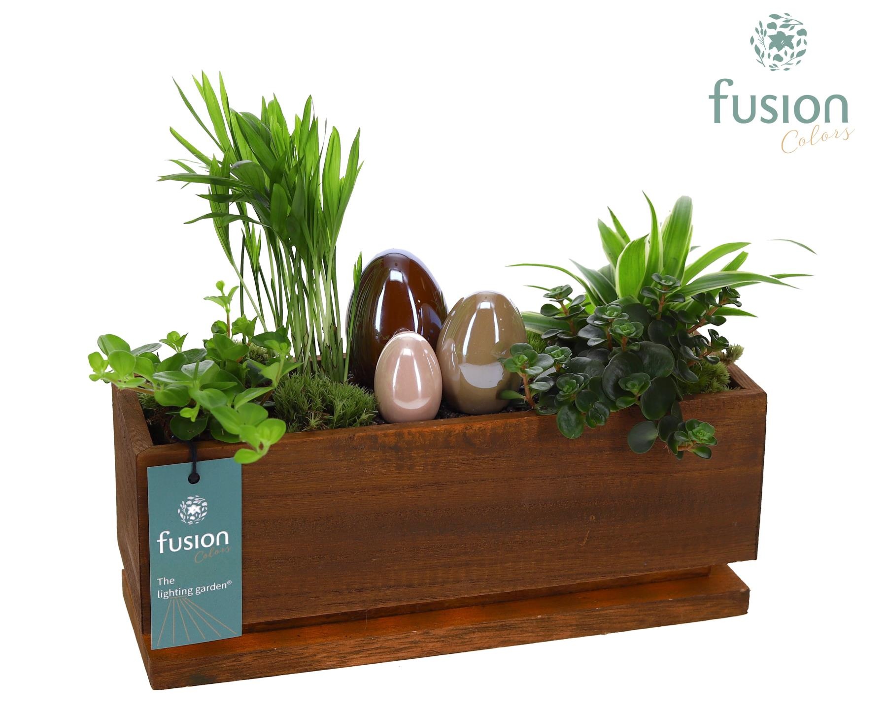 The Lighting Garden LED Medium Pasen met arrangement, D 29