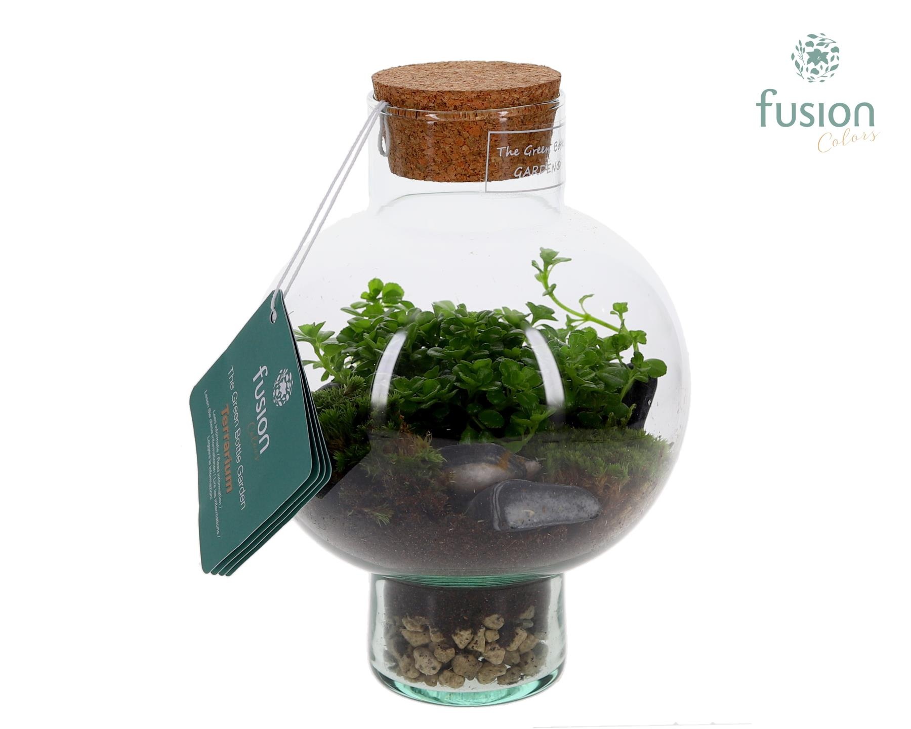 Green BottleLaura XSmall met Terrarium arrangement, D 15 cm Green BottleLaura XSmall met Terrarium arrangement, D 15 cm